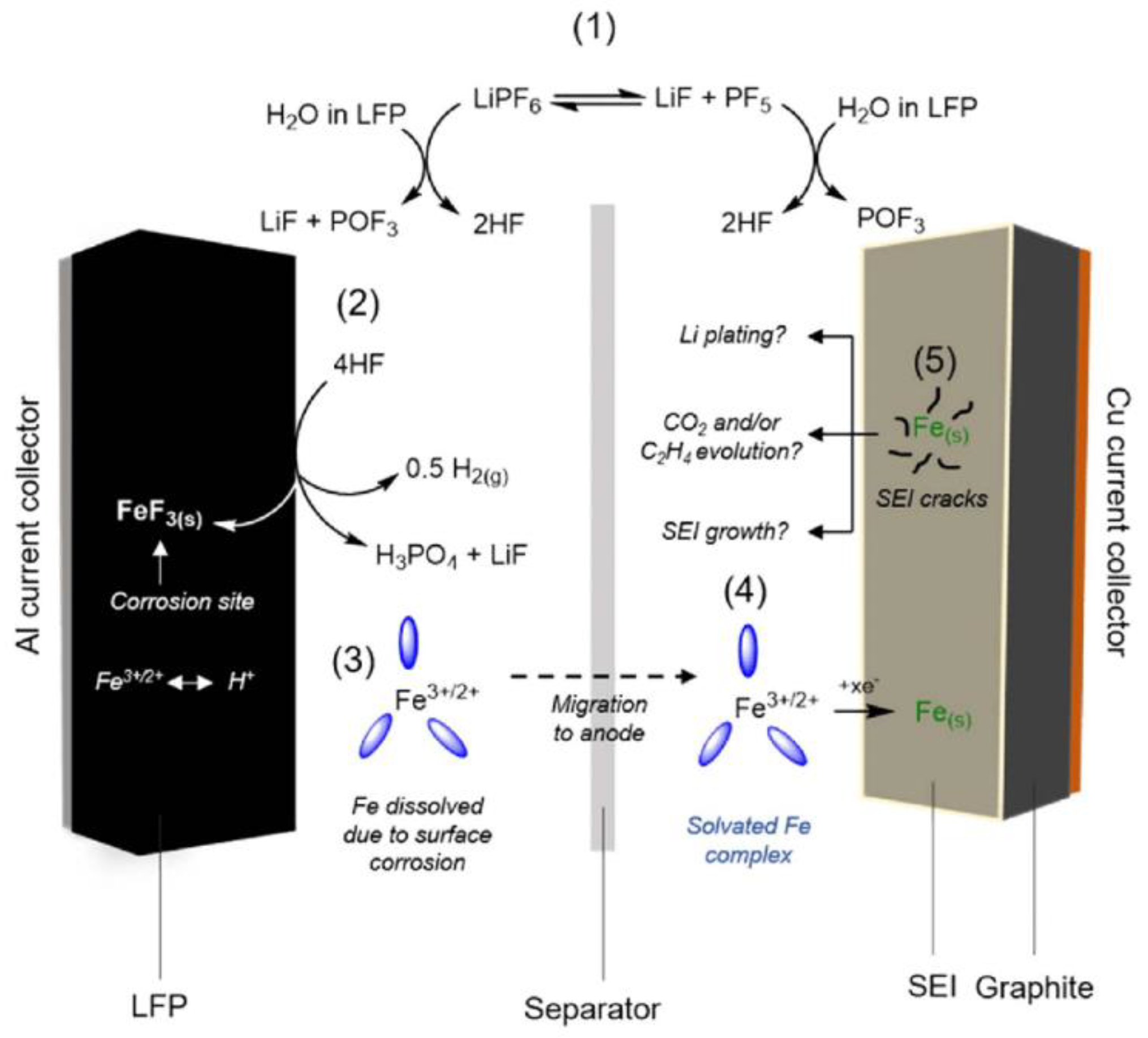 Coatings 14 00832 g005