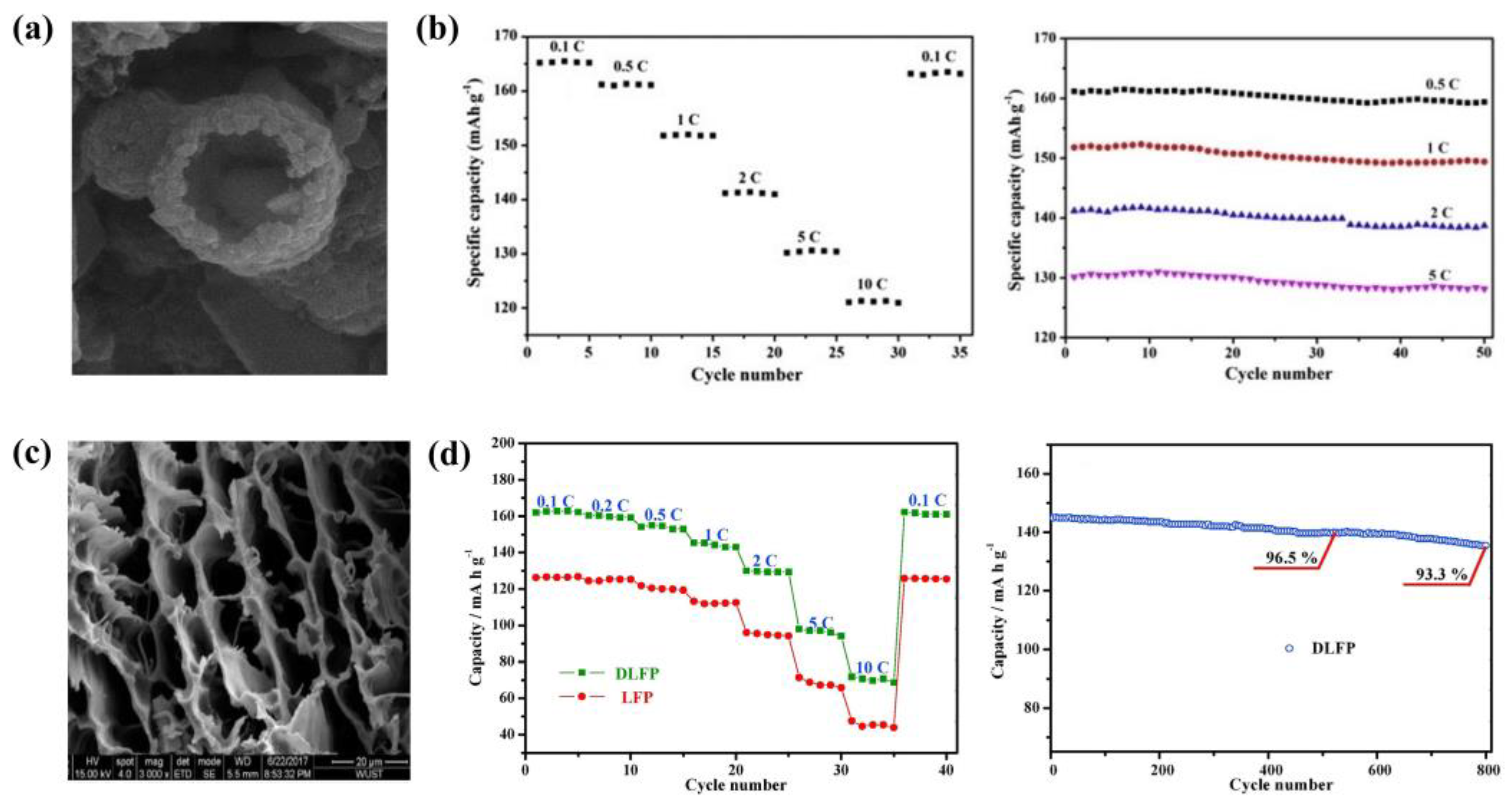 Coatings 14 00832 g015
