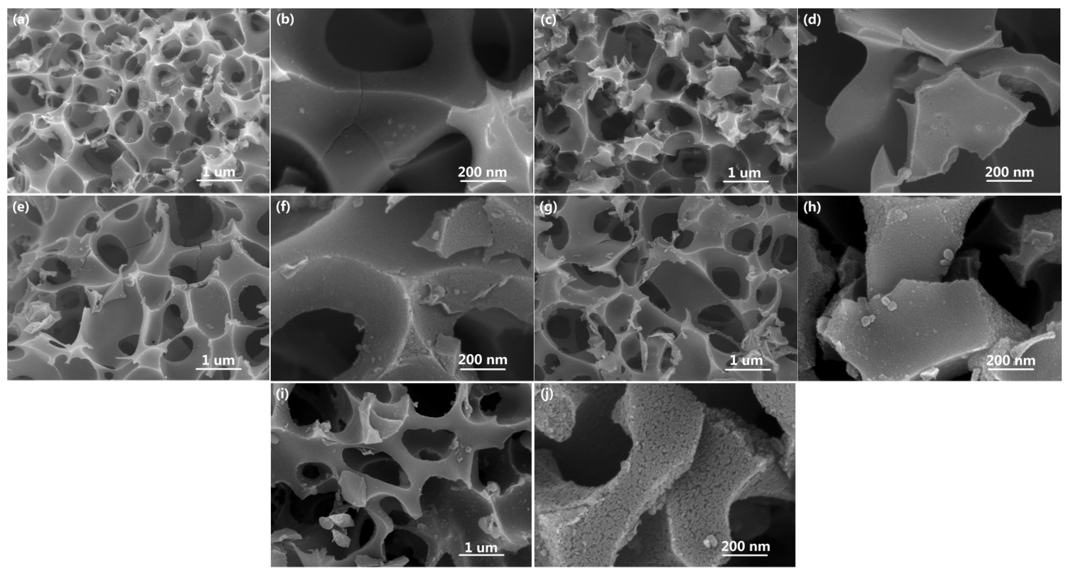 Coatings 14 00840 g001 Coatings 14 00840 g001