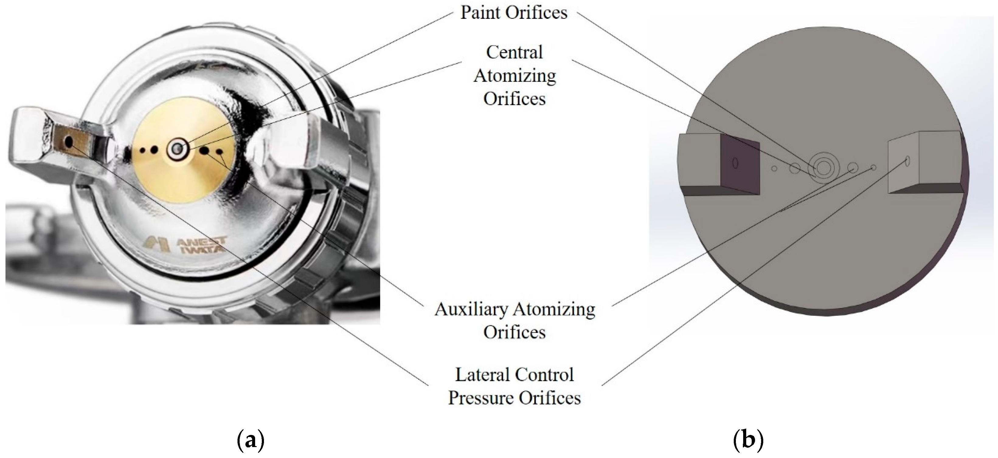 Coatings 14 00847 g003