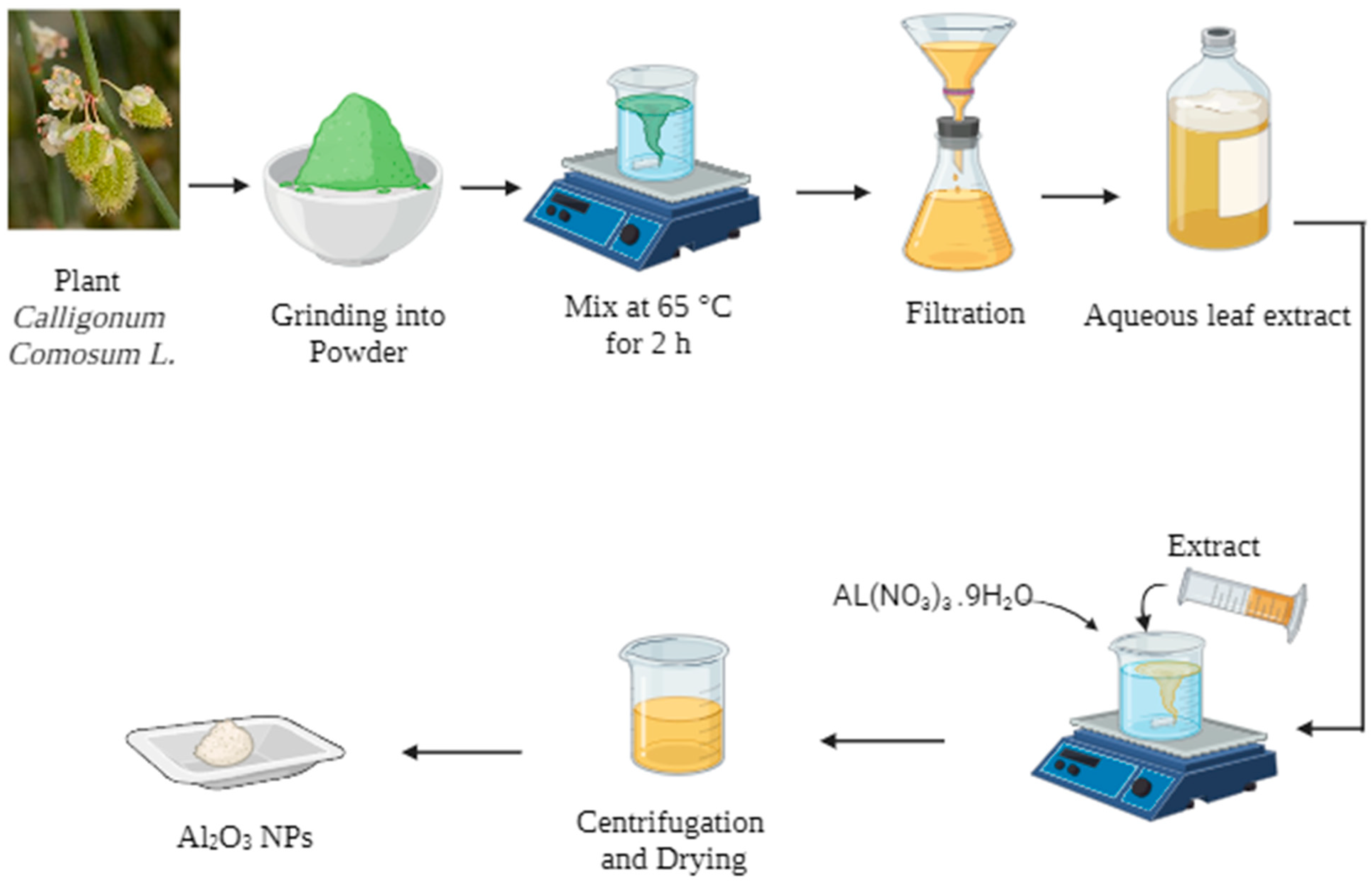 Coatings 14 00848 g001