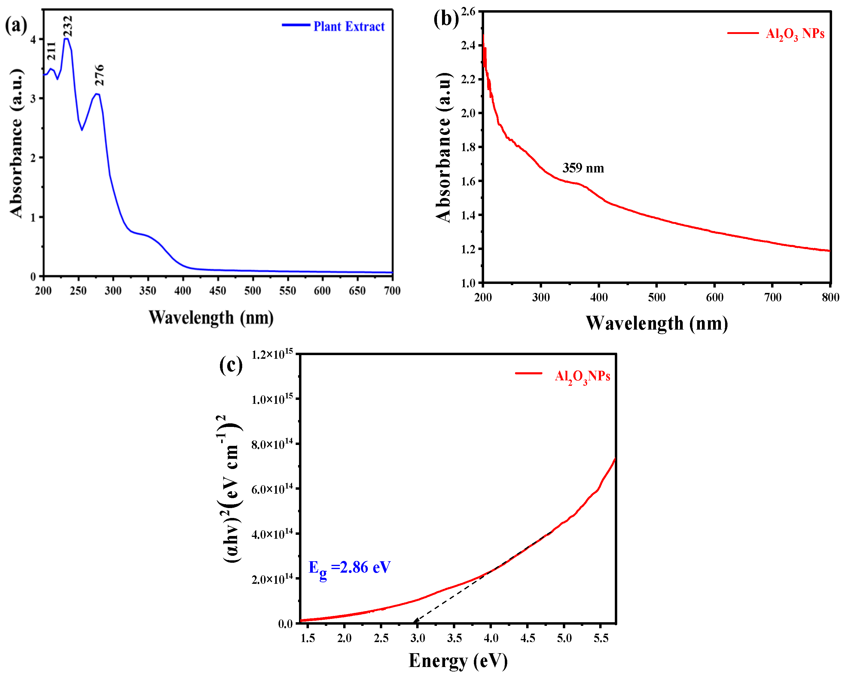 Coatings 14 00848 g002