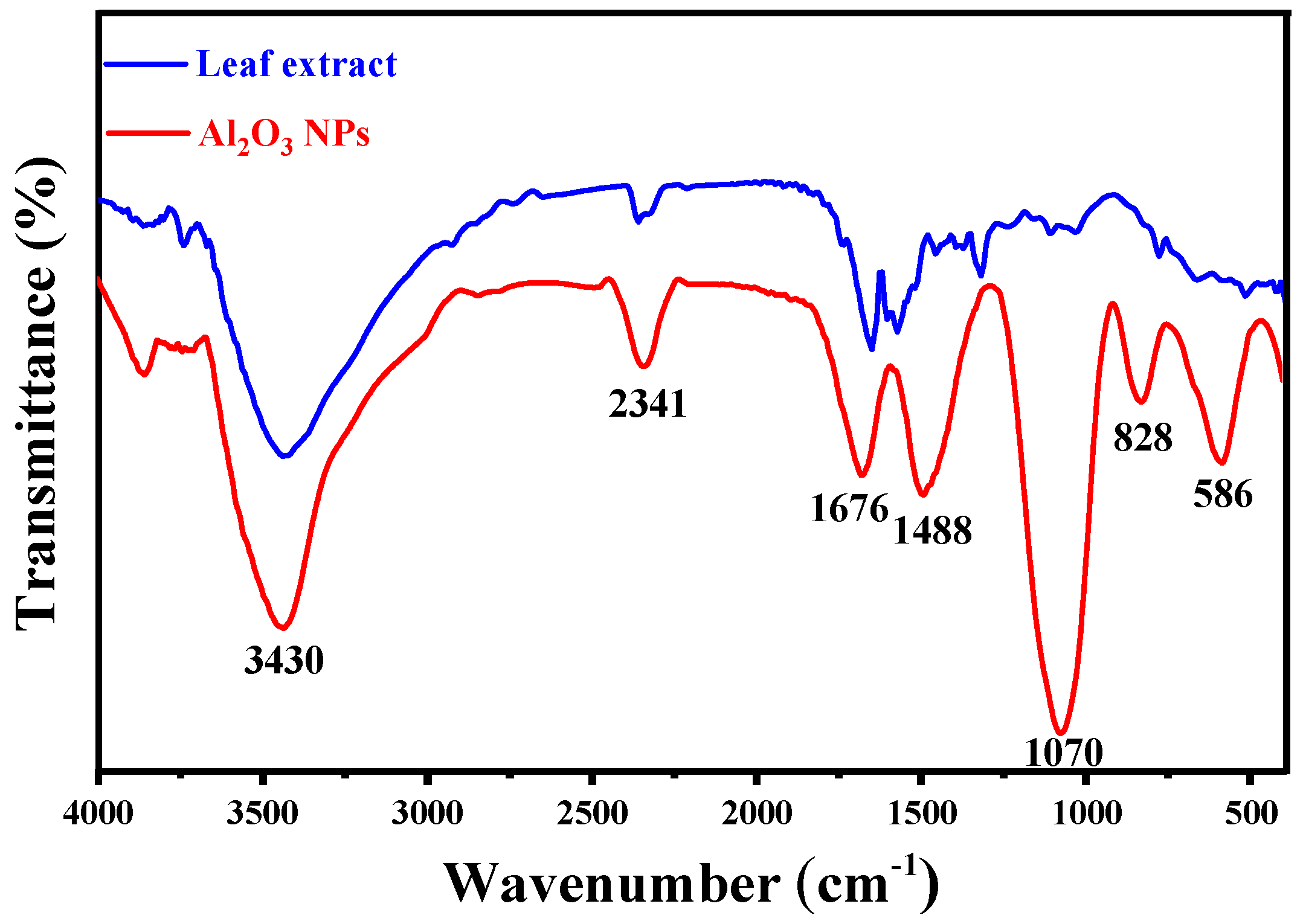 Coatings 14 00848 g003
