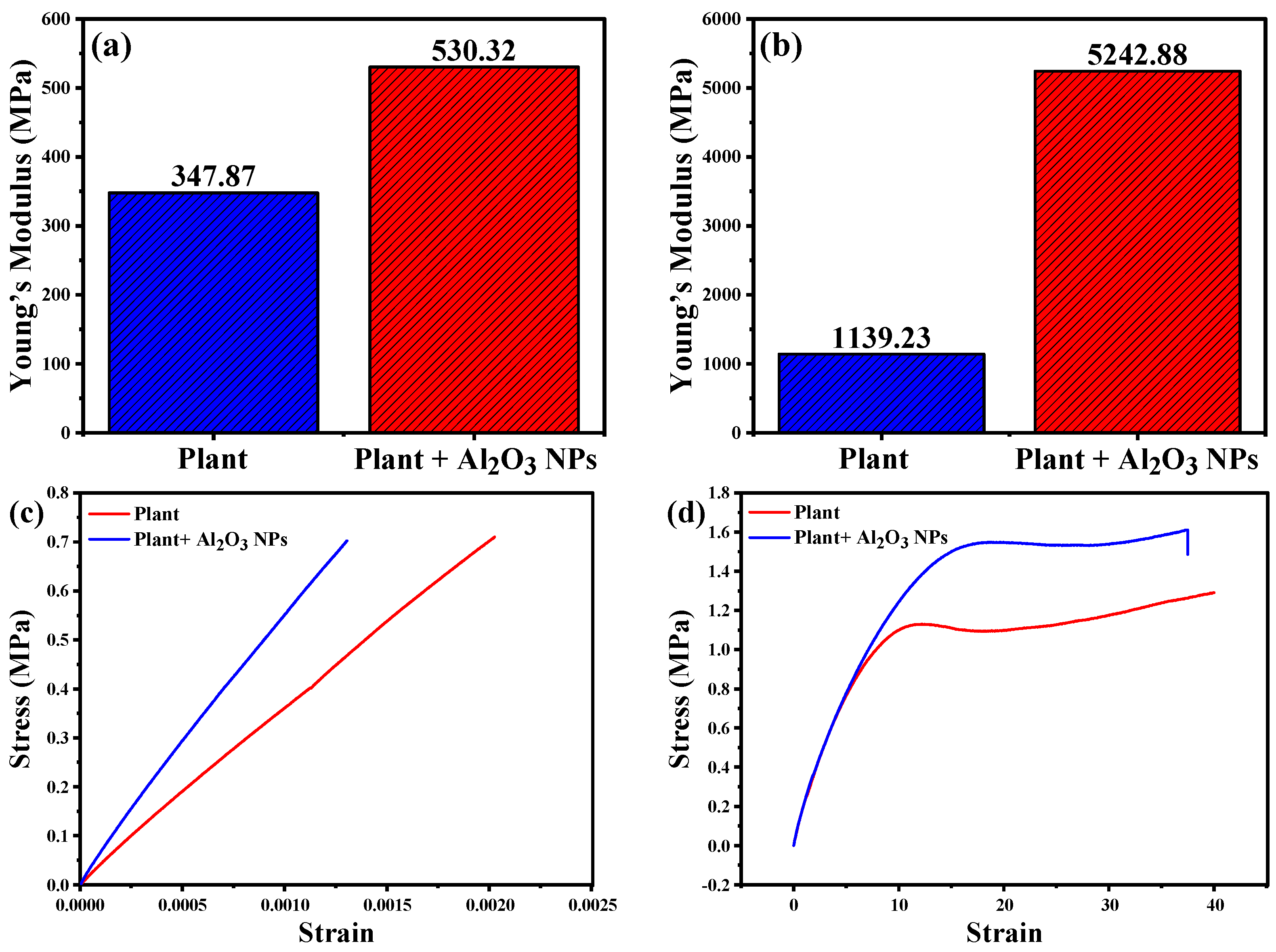 Coatings 14 00848 g006