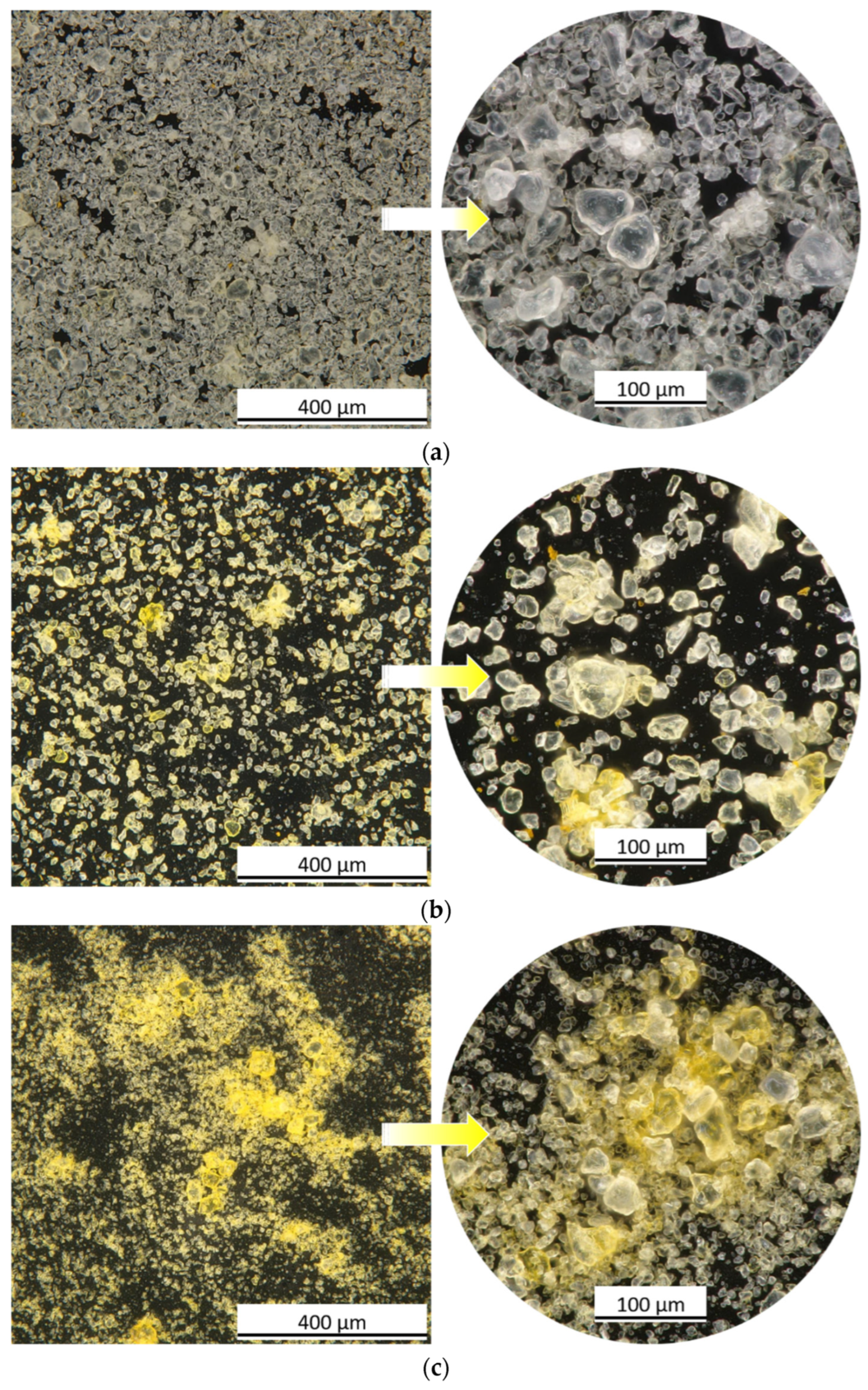Coatings 14 00858 g002