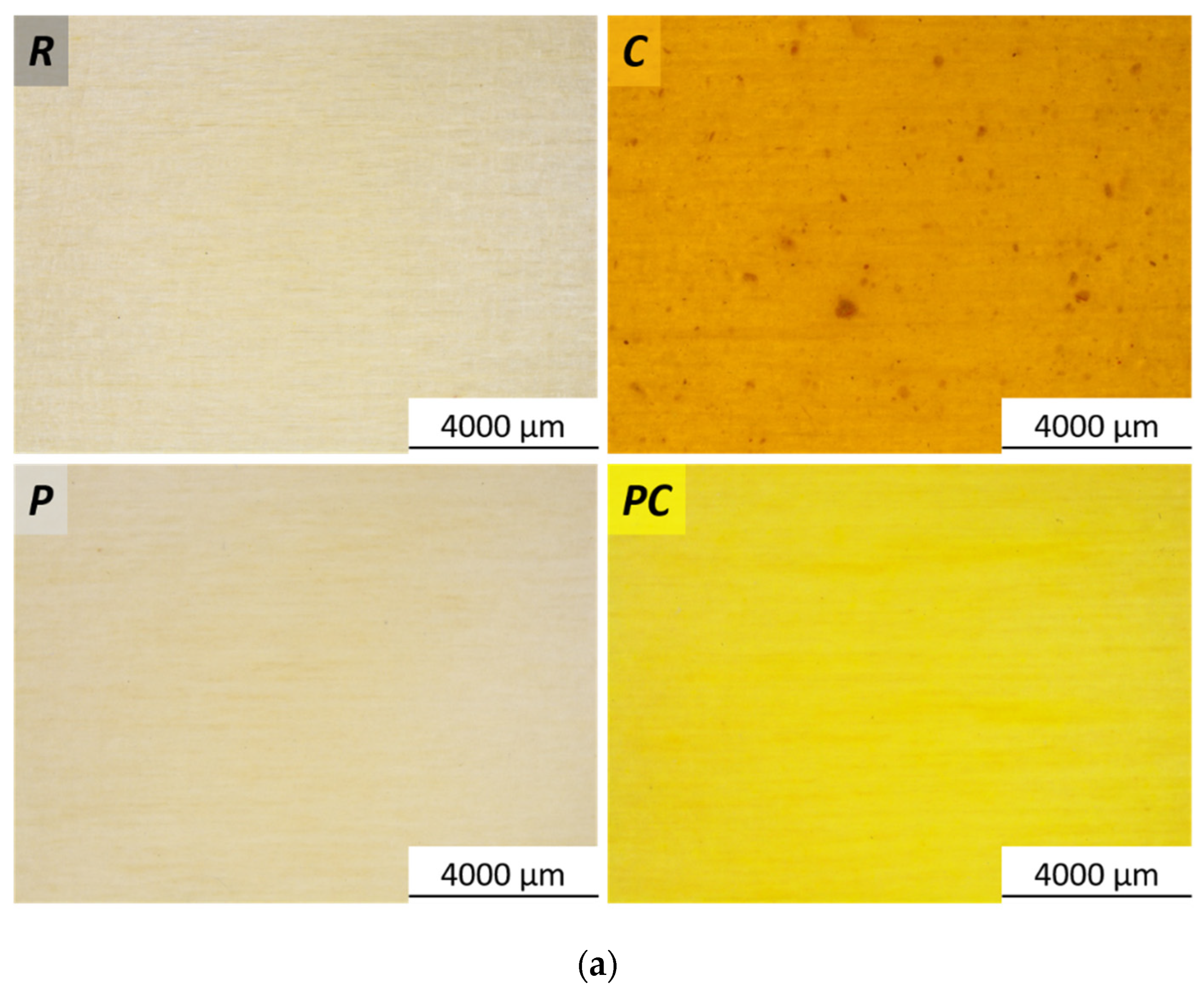 Coatings 14 00858 g004a