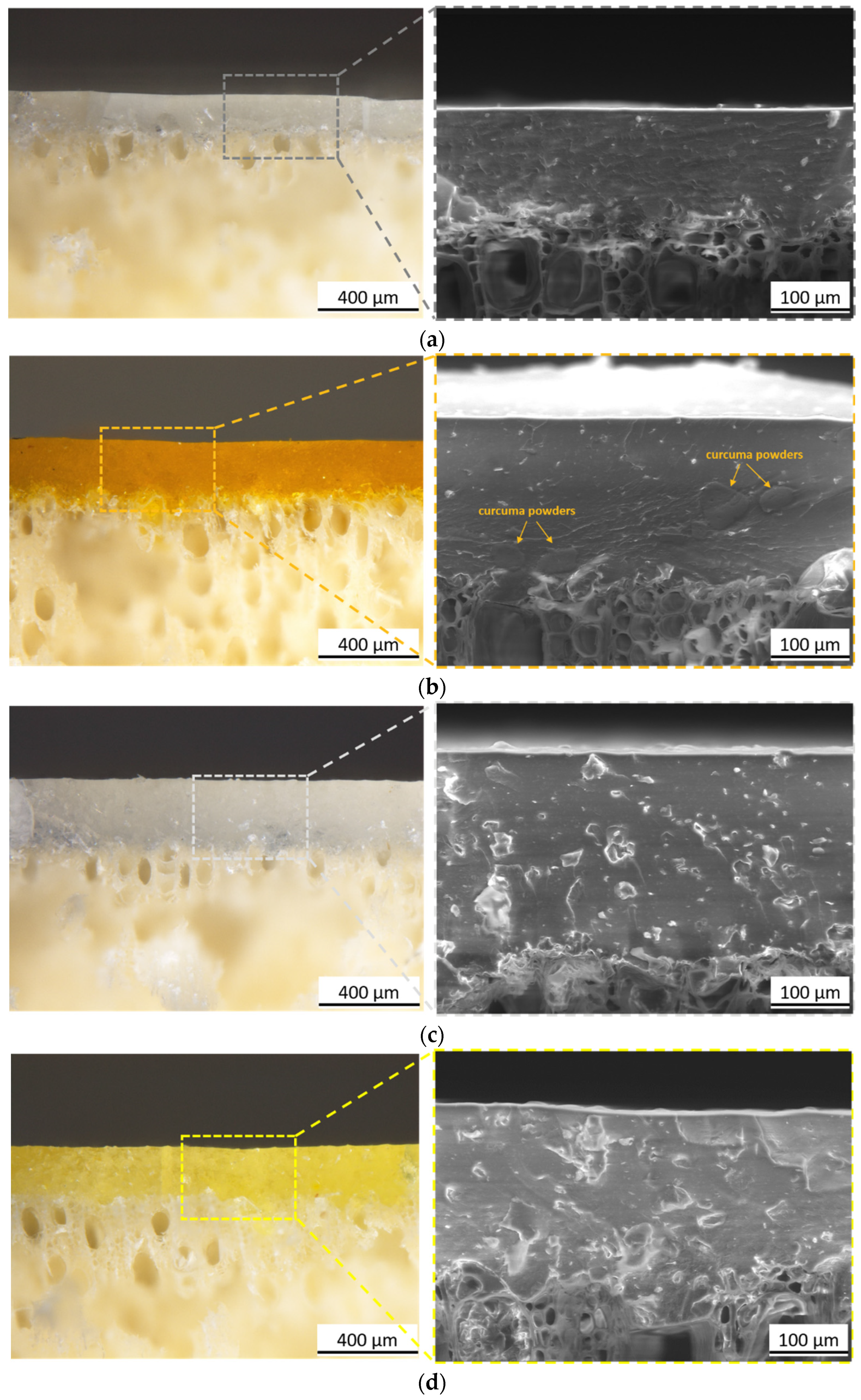 Coatings 14 00858 g006