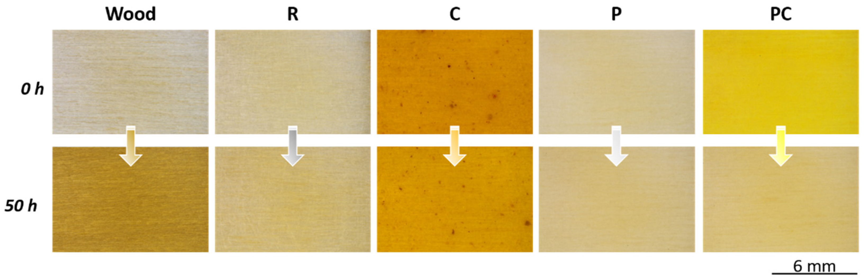 Coatings 14 00858 g010
