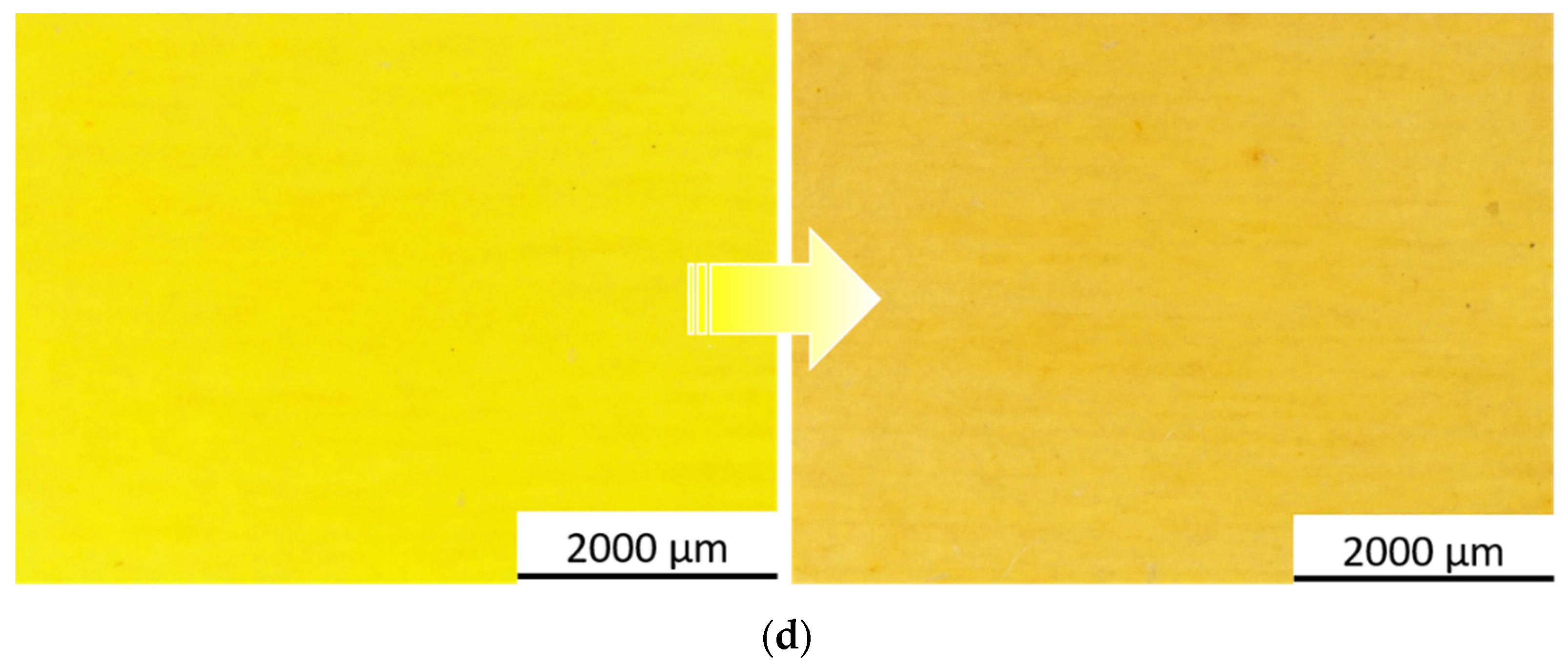 Coatings 14 00858 g013b