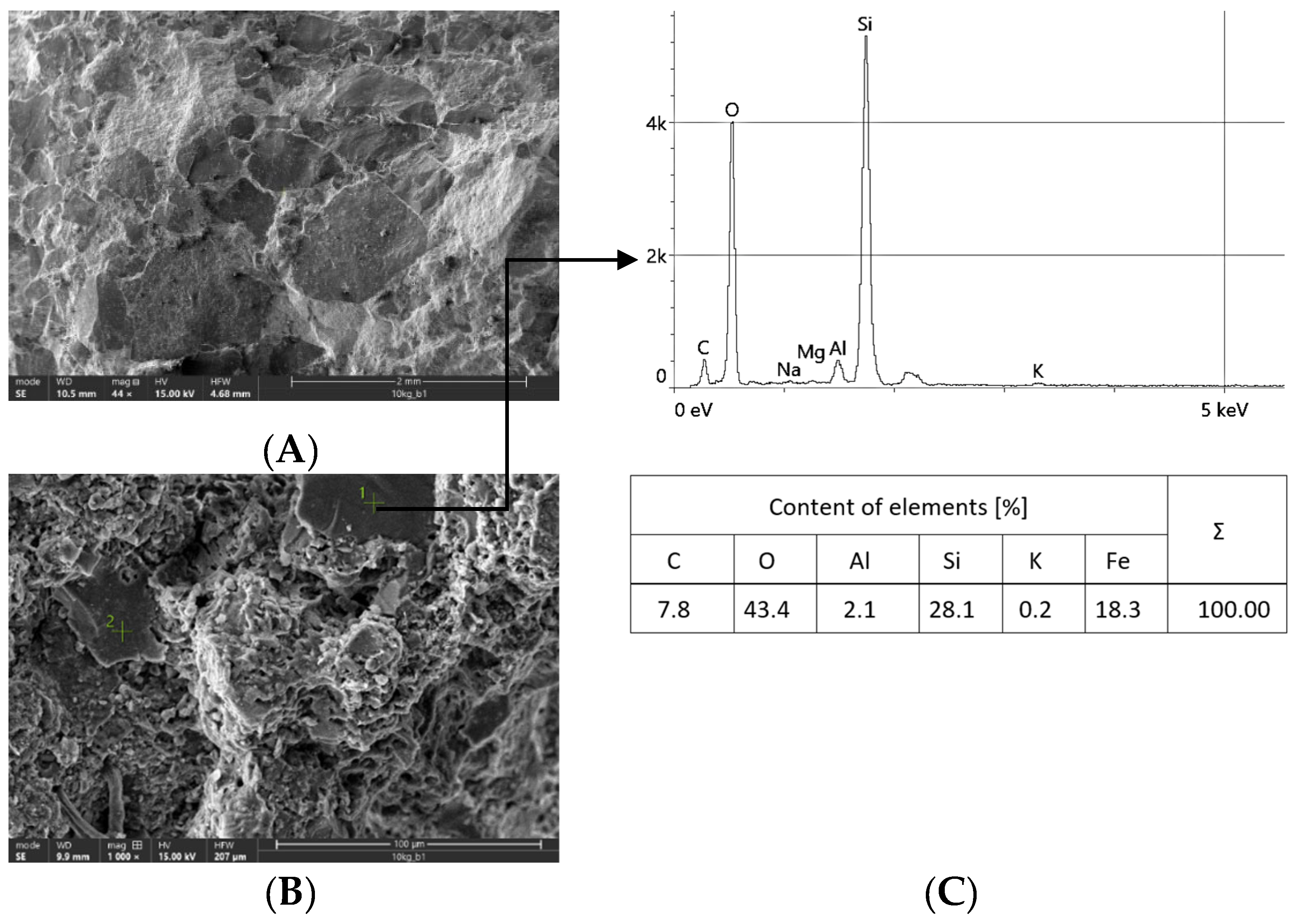 Coatings 14 00859 g010