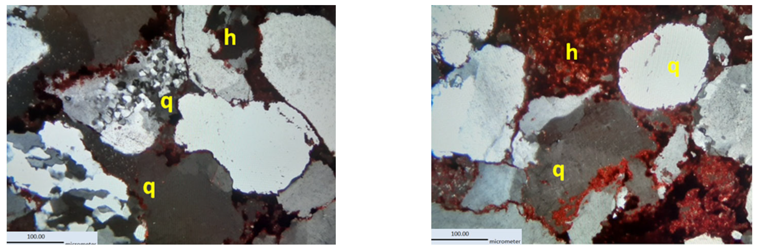Coatings 14 00859 g011