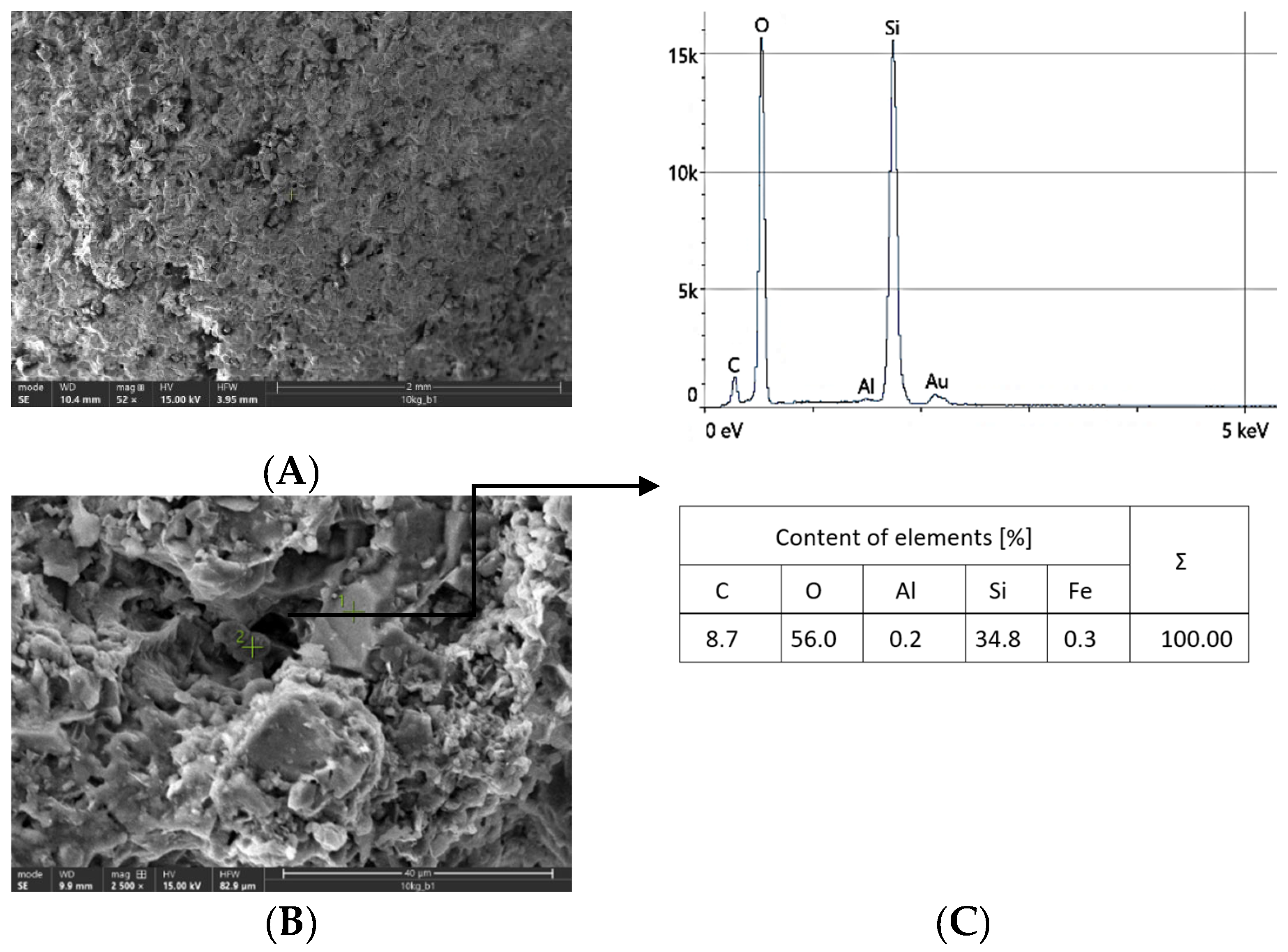 Coatings 14 00859 g012