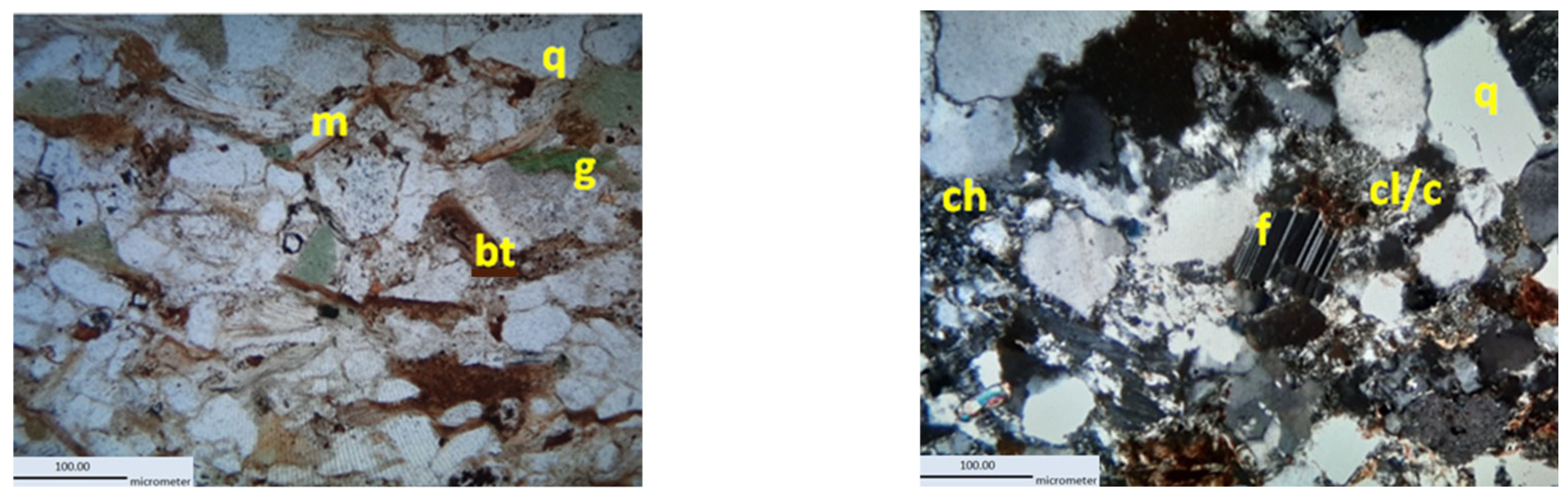 Coatings 14 00859 g013