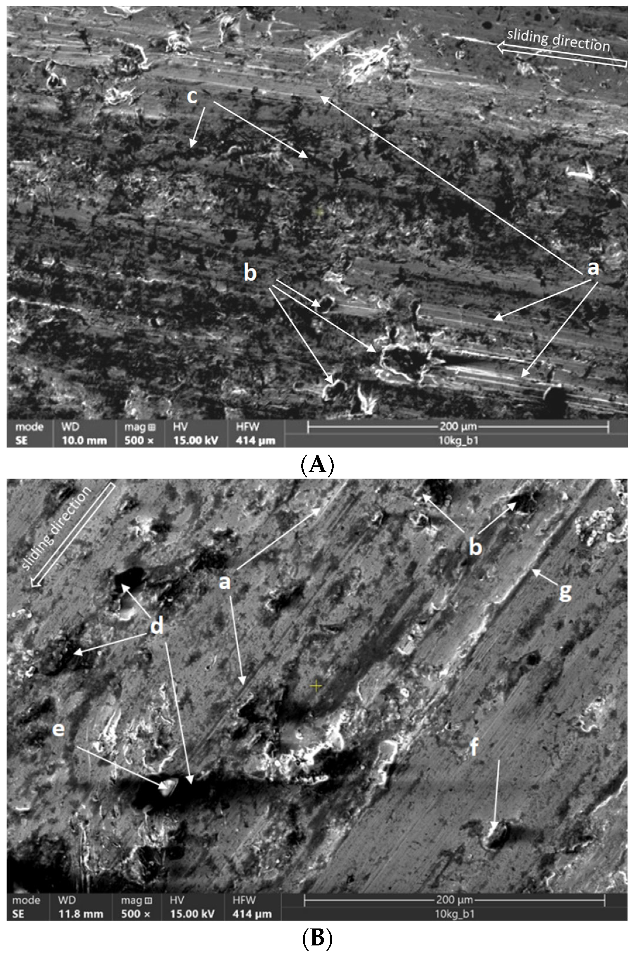 Coatings 14 00859 g019