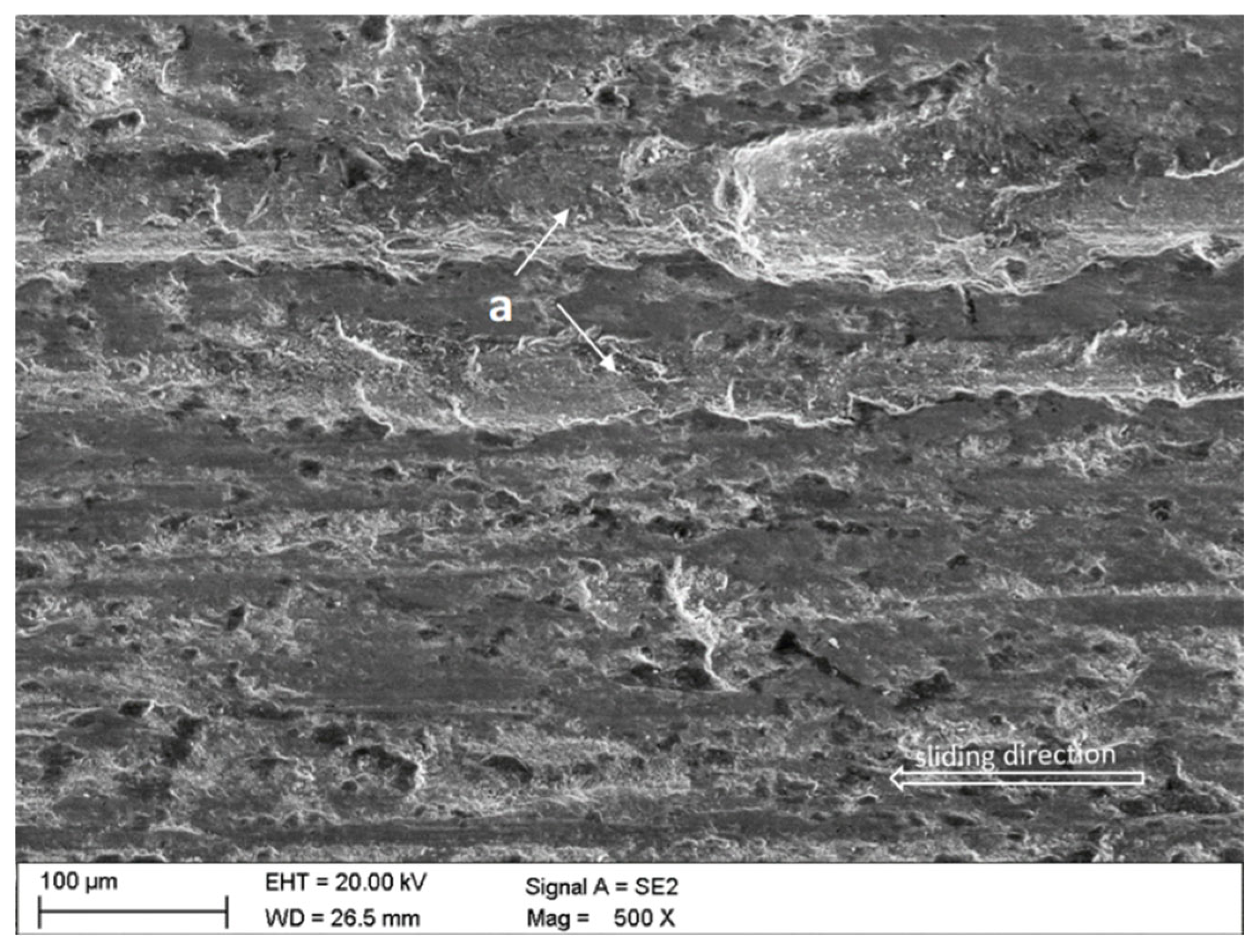 Coatings 14 00859 g022