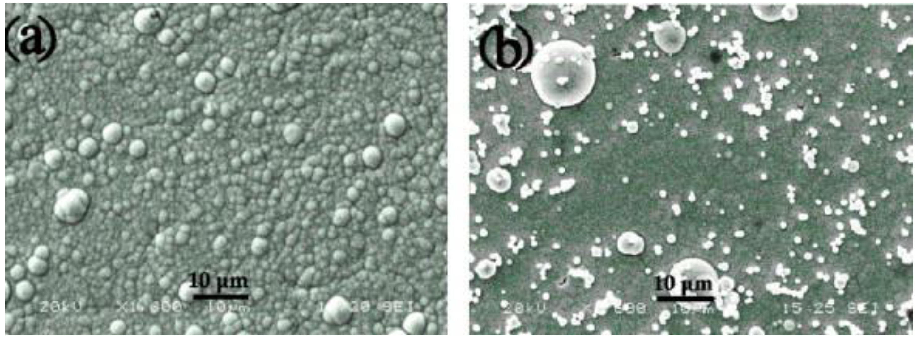 Coatings 14 00871 g012