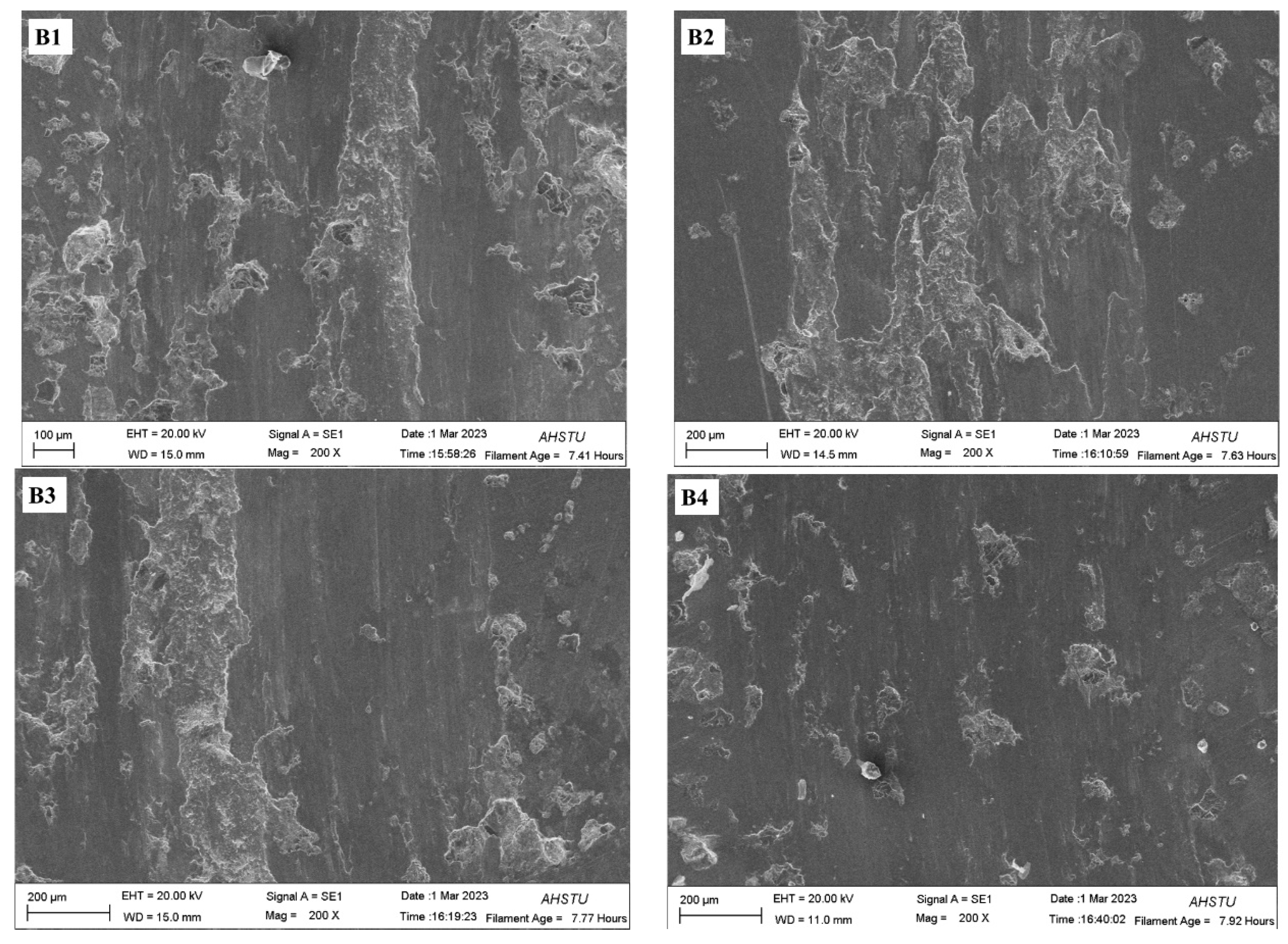 Coatings 14 00872 g012 Coatings 14 00872 g012