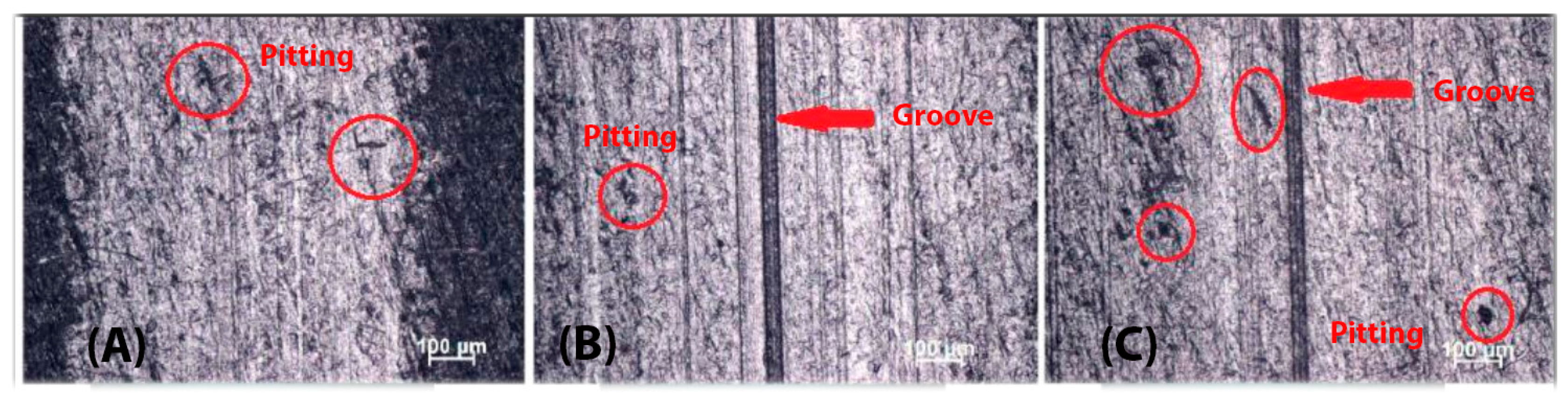 Coatings 14 00876 g008