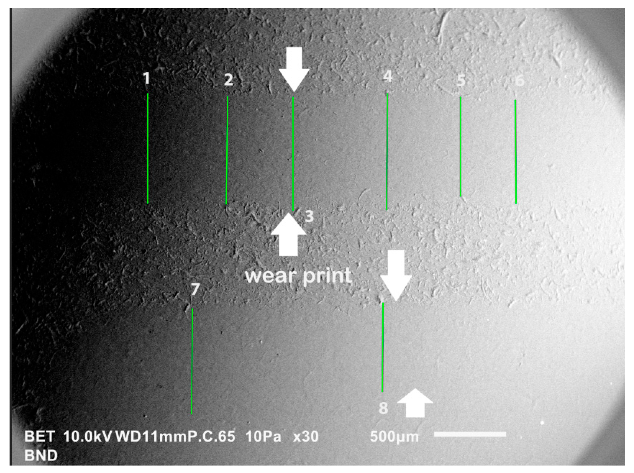 Coatings 14 00876 g016