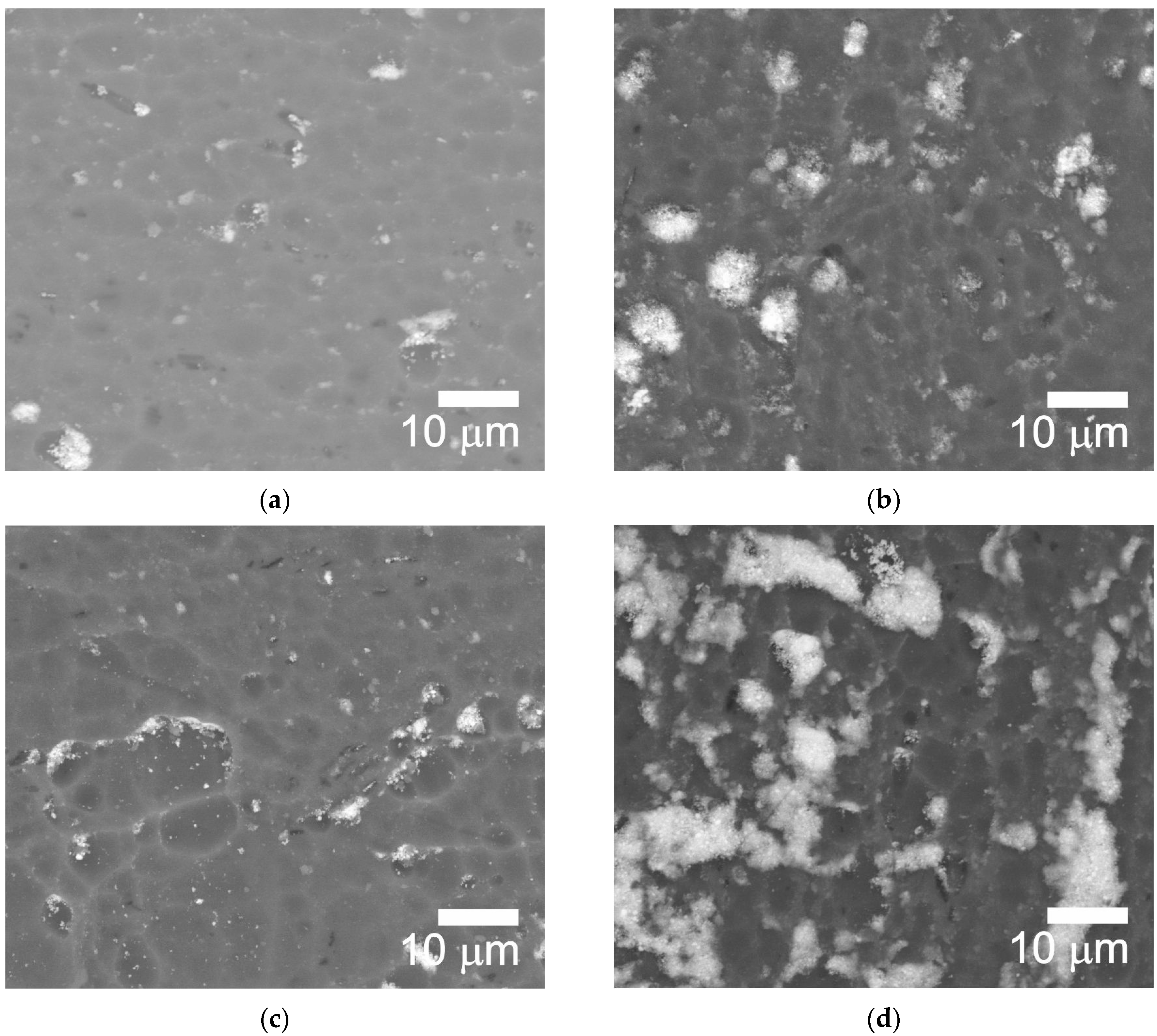 Coatings 14 00883 g002