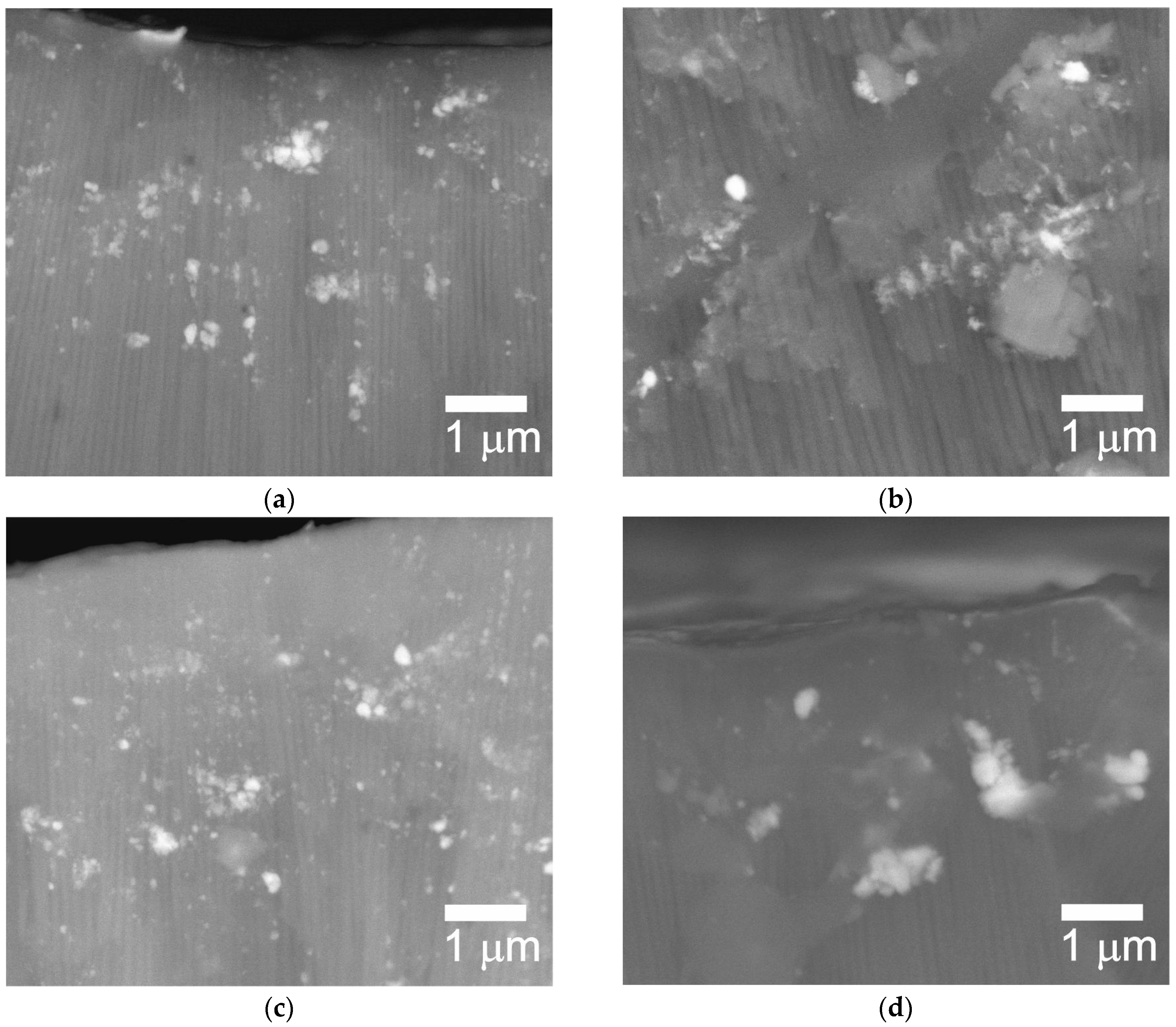 Coatings 14 00883 g005