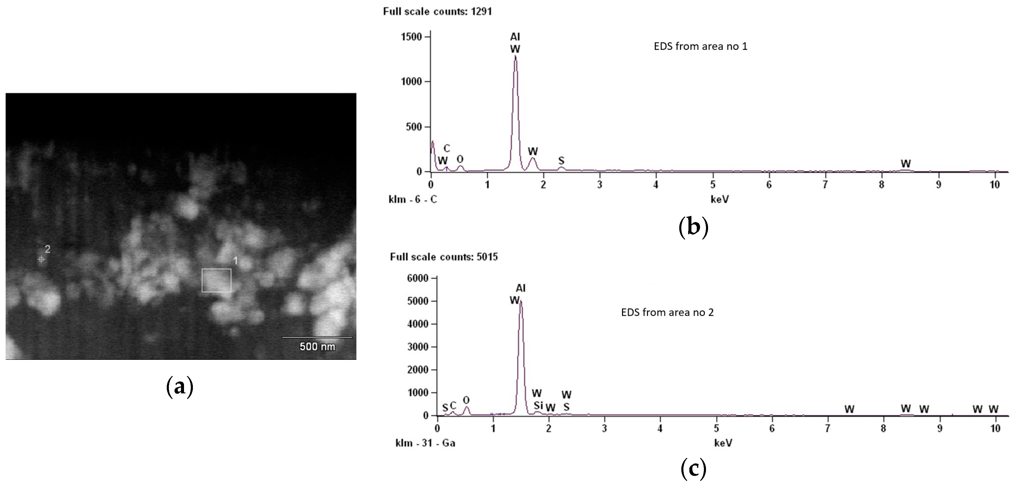 Coatings 14 00883 g006