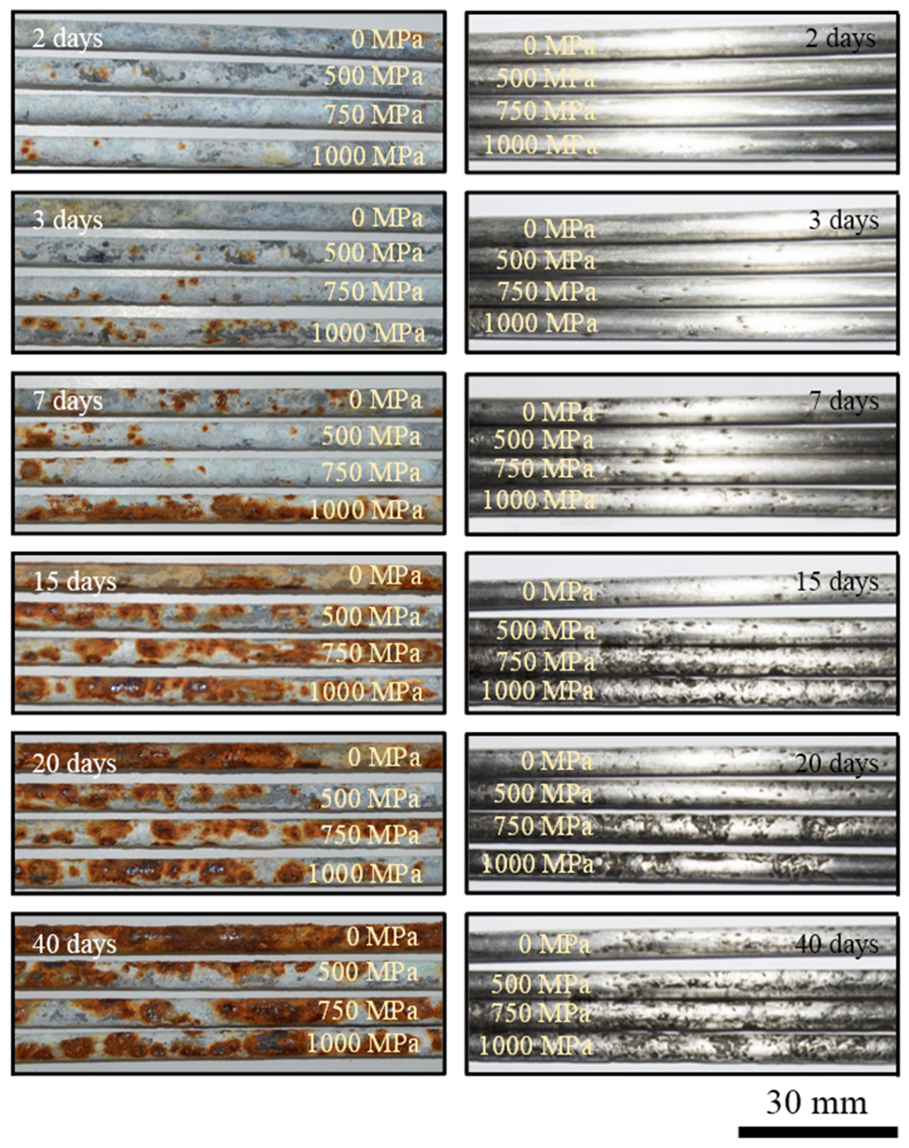 Coatings 14 00890 g003