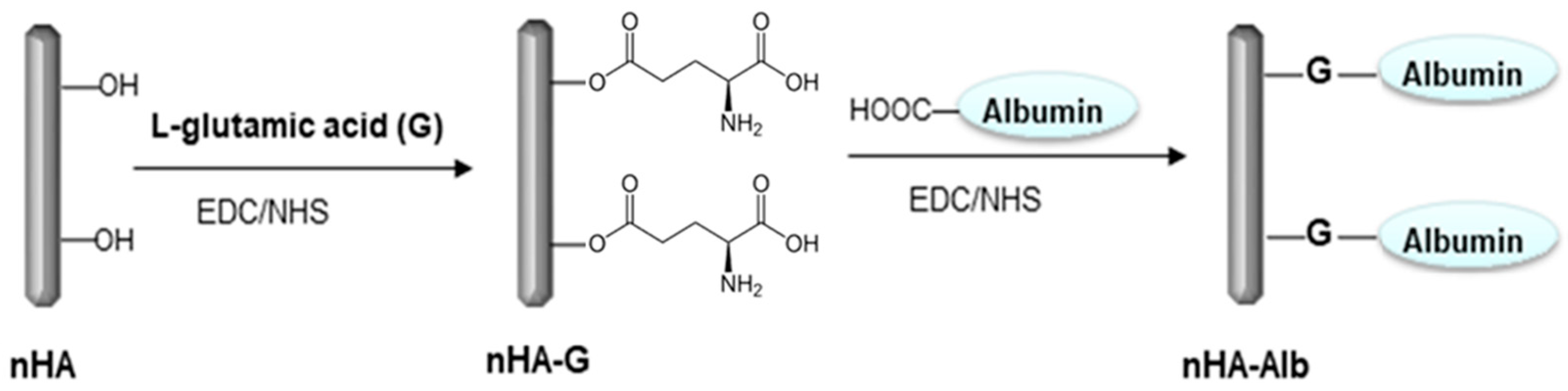 Coatings 14 00893 g003