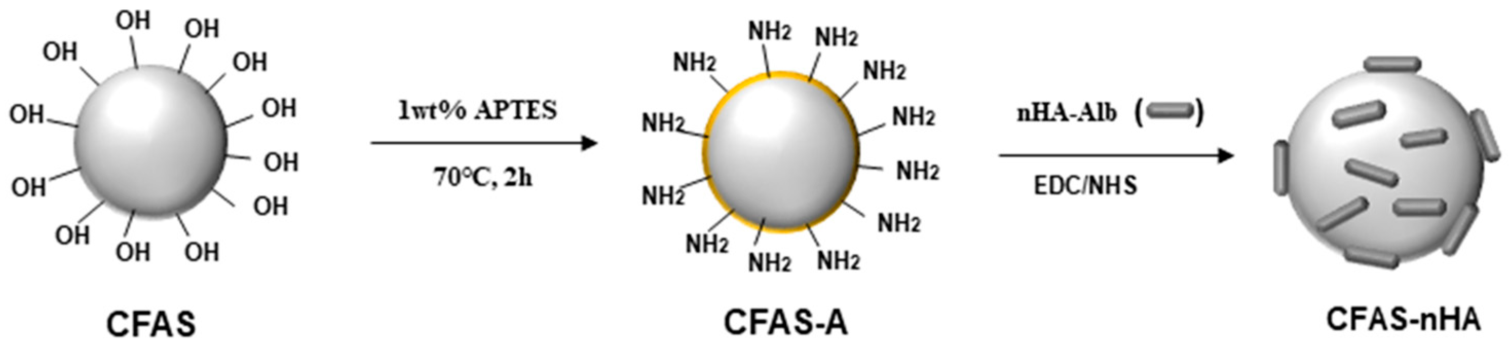 Coatings 14 00893 g004