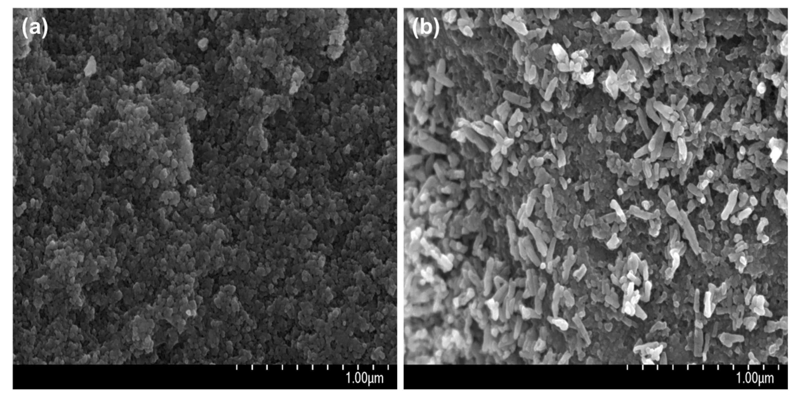 Coatings 14 00893 g007