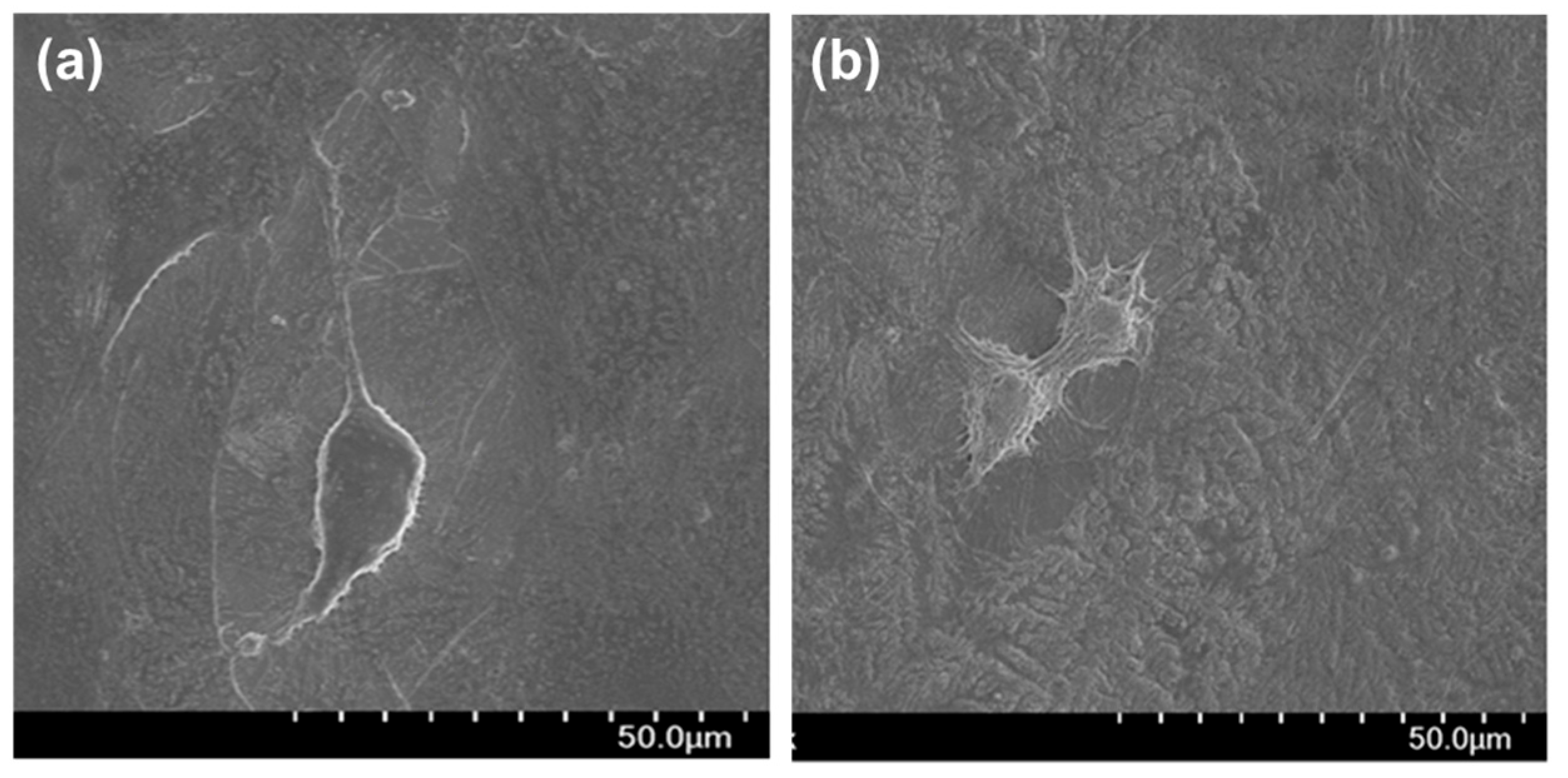 Coatings 14 00893 g008