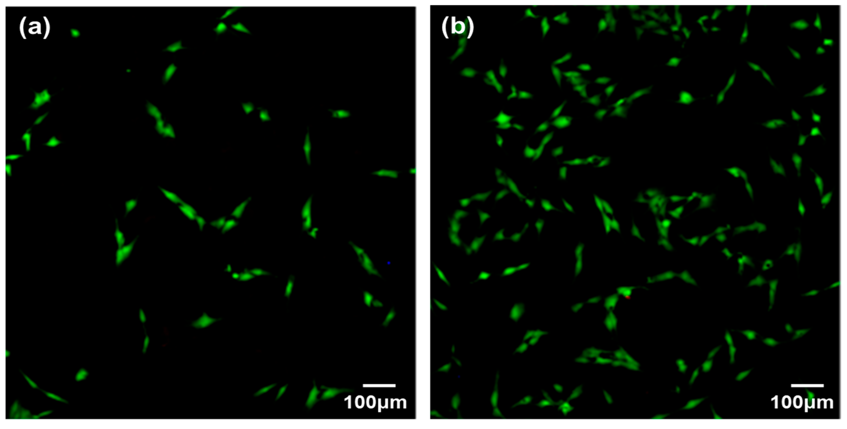 Coatings 14 00893 g010