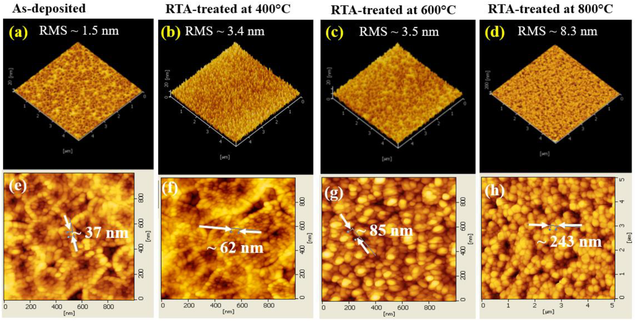 Coatings 14 00895 g002