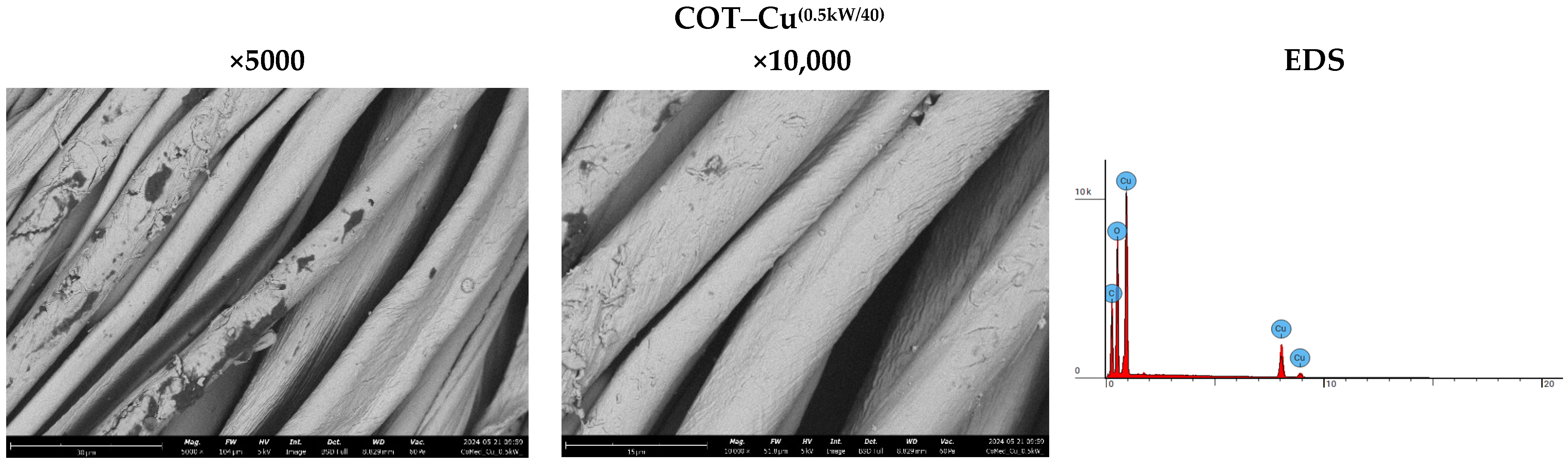 Coatings 14 00900 g004