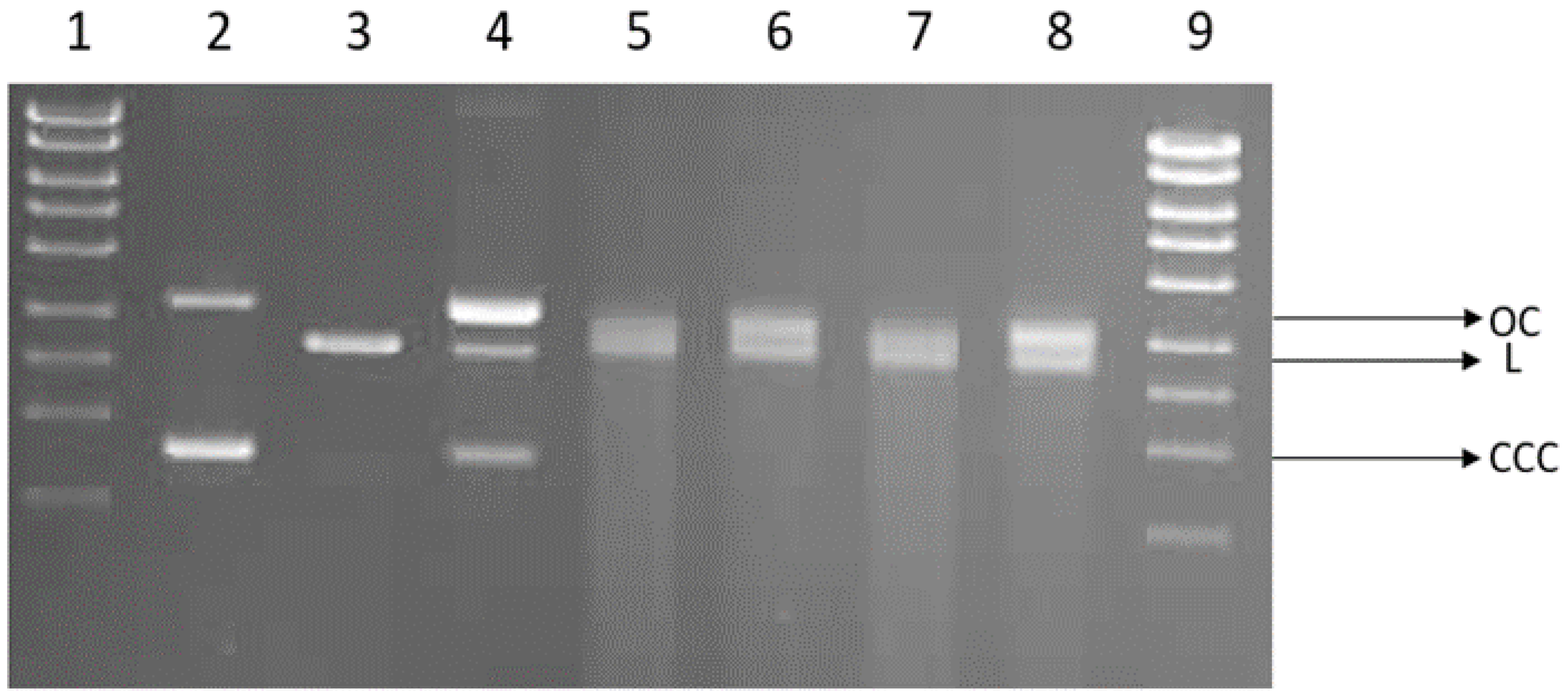 Coatings 14 00900 g008