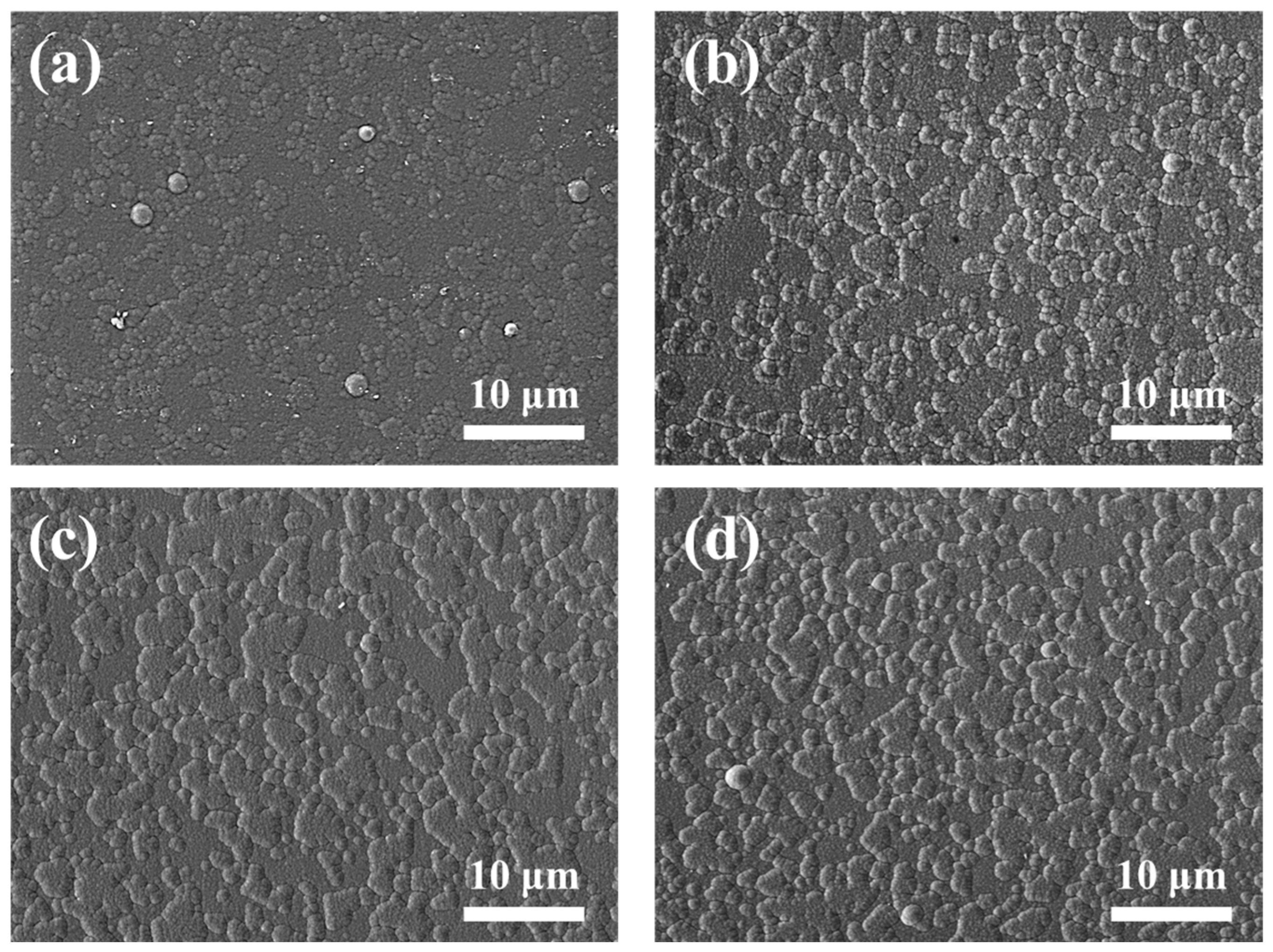 Coatings 14 00916 g003