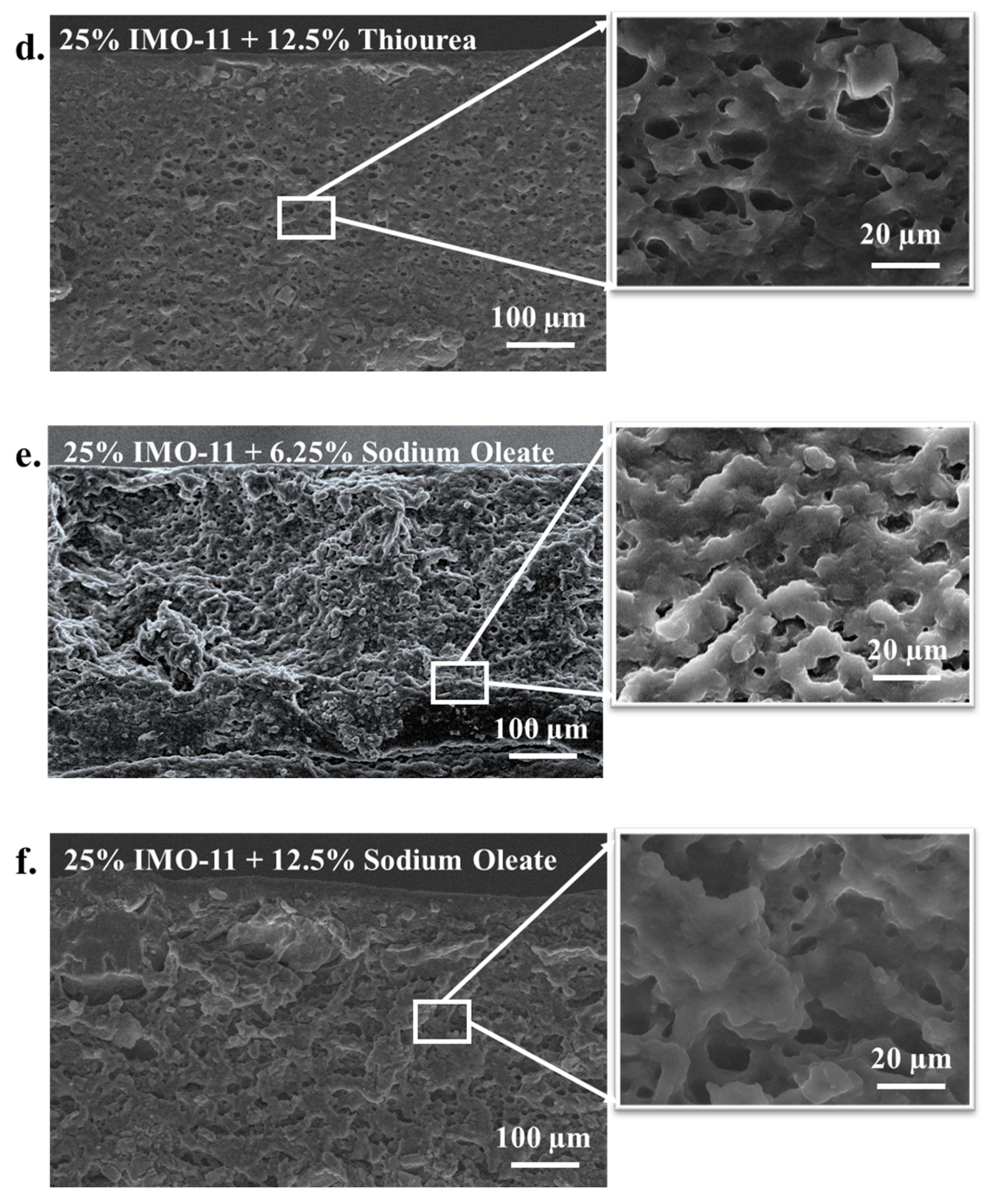 Coatings 14 00917 g004b