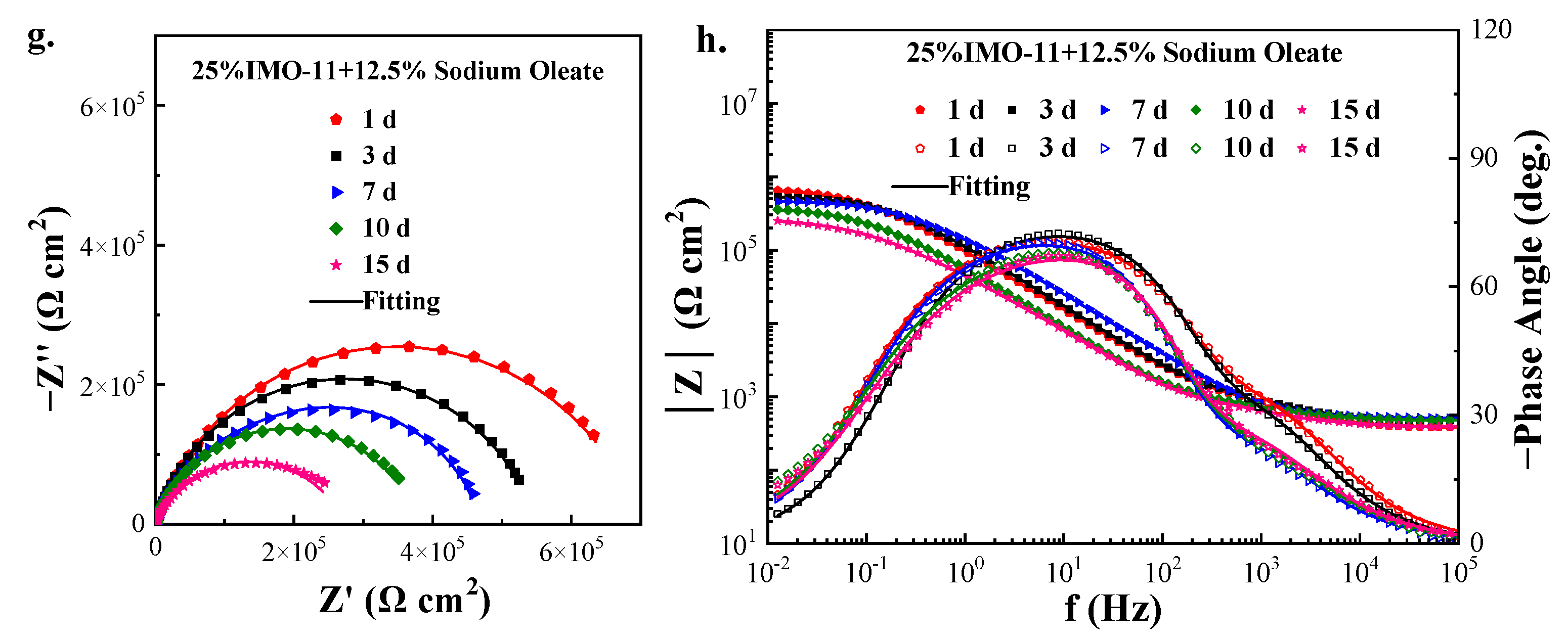 Coatings 14 00917 g006b