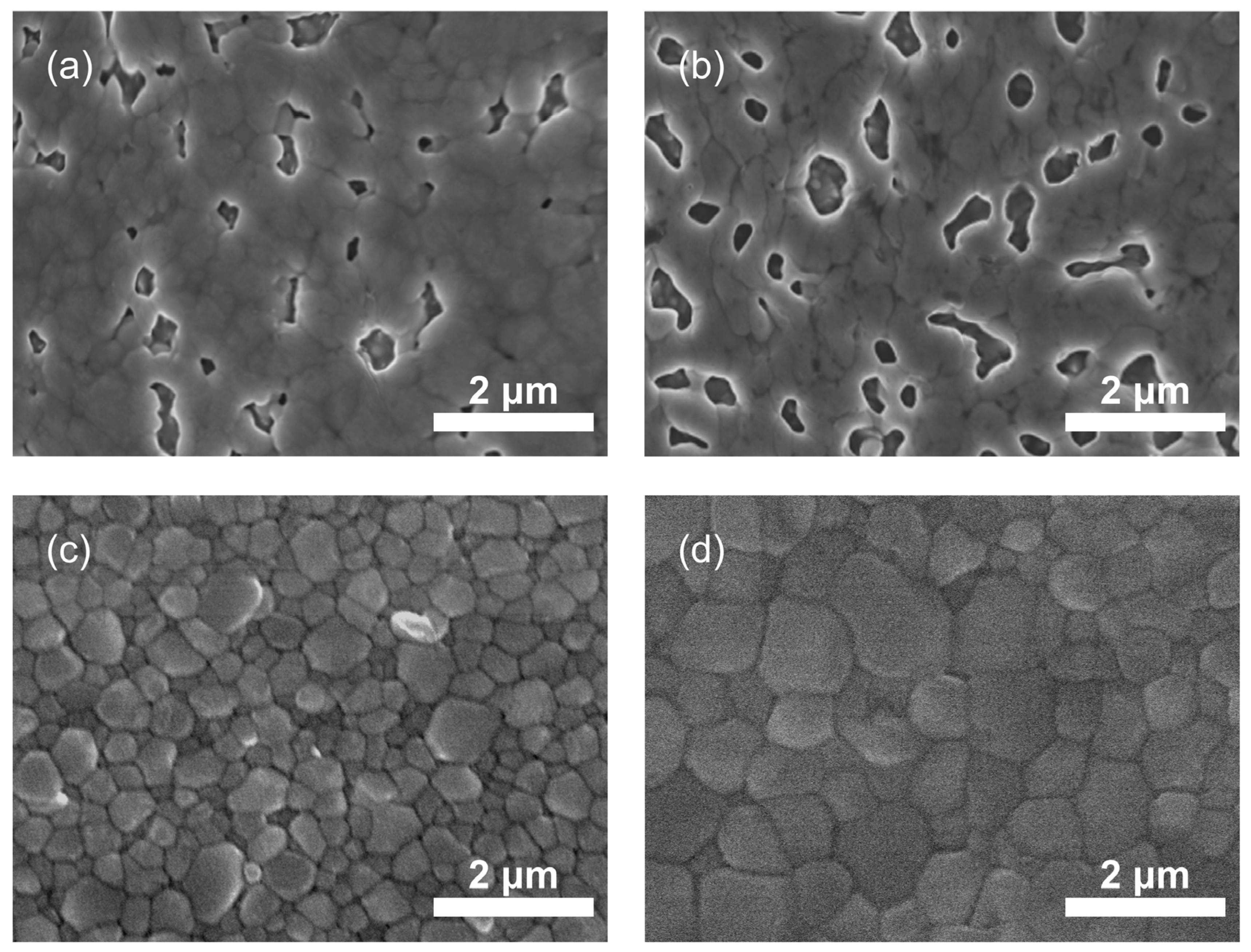 Coatings 14 00918 g001 Coatings 14 00918 g001