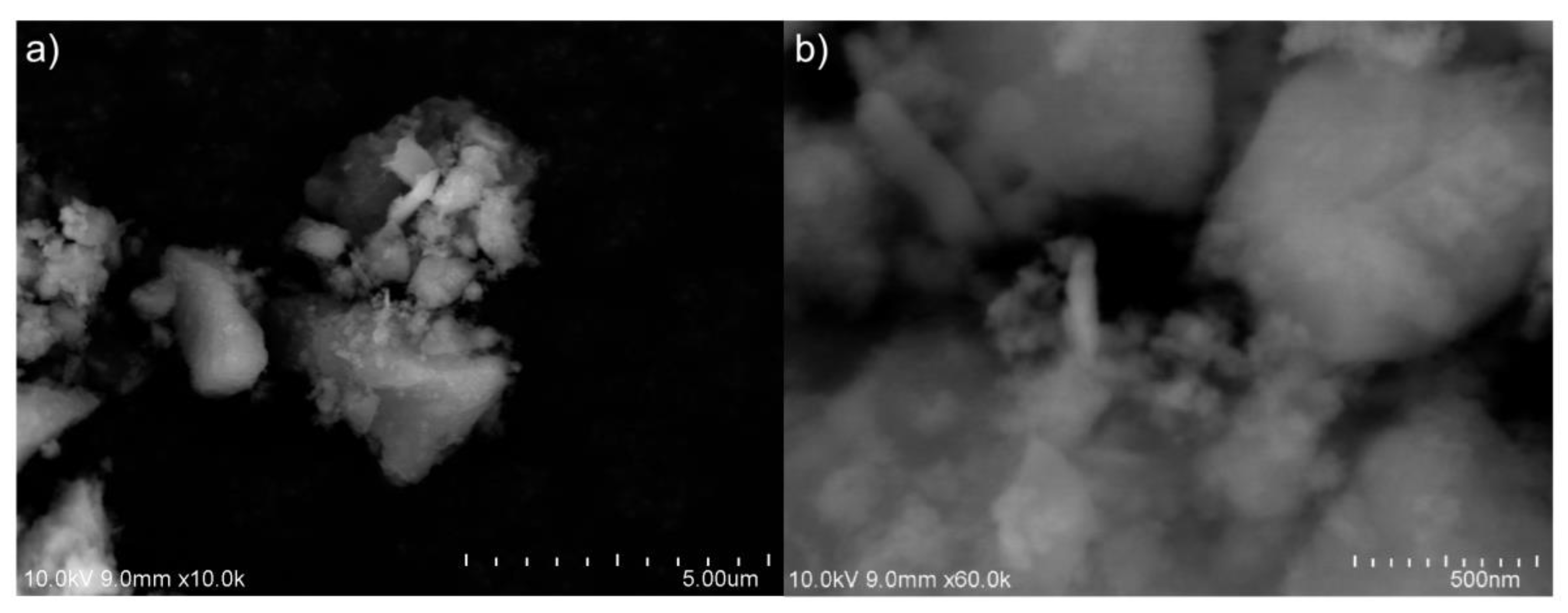 Coatings 14 00919 g004