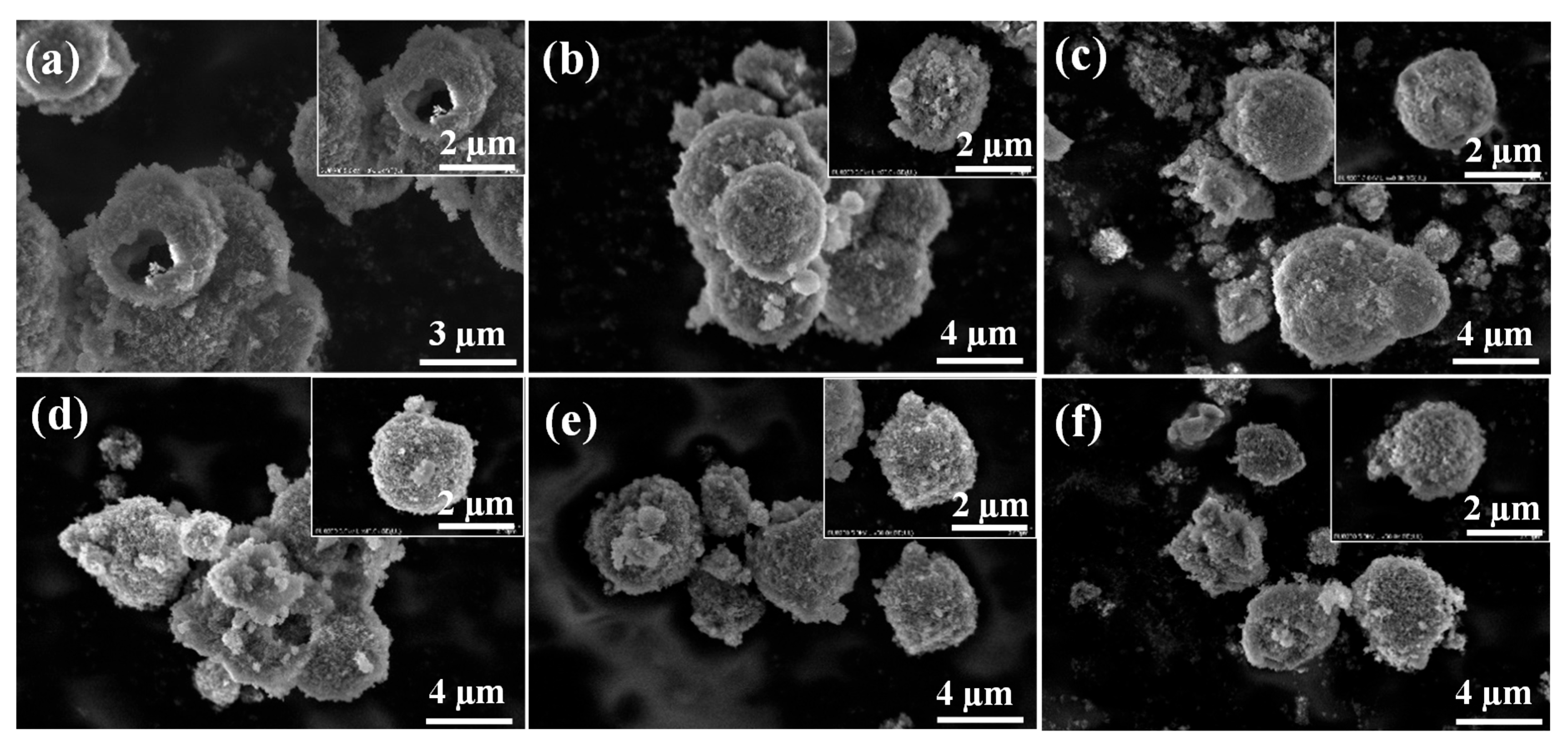 Coatings 14 00921 g003