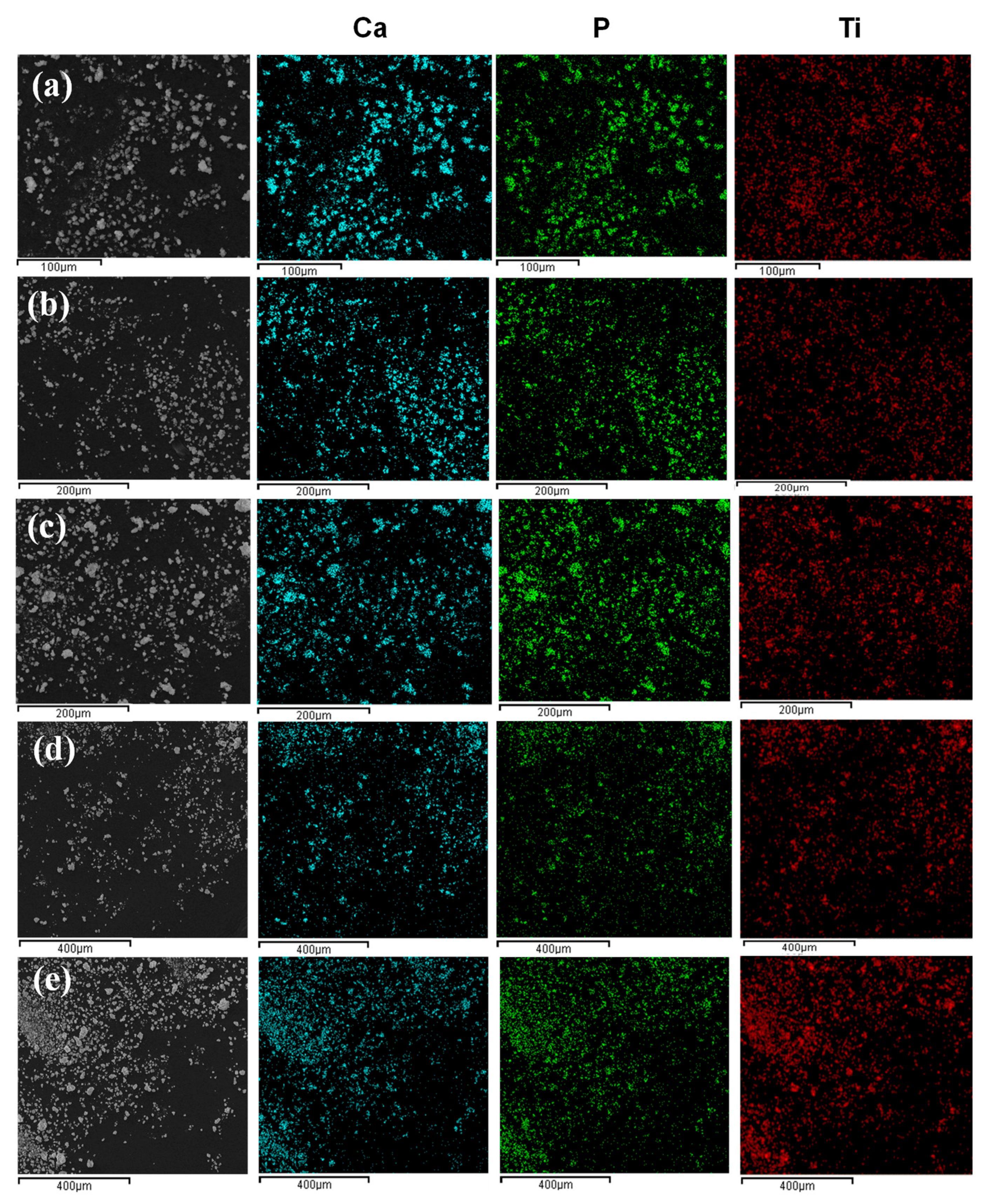 Coatings 14 00921 g004