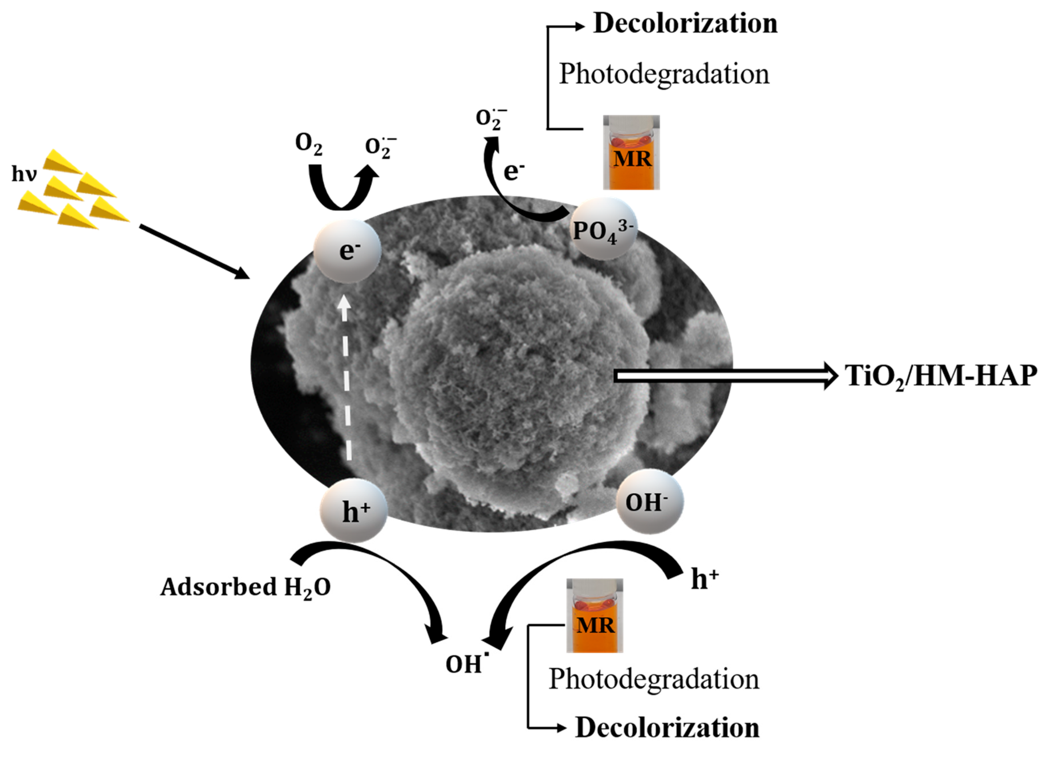 Coatings 14 00921 g010
