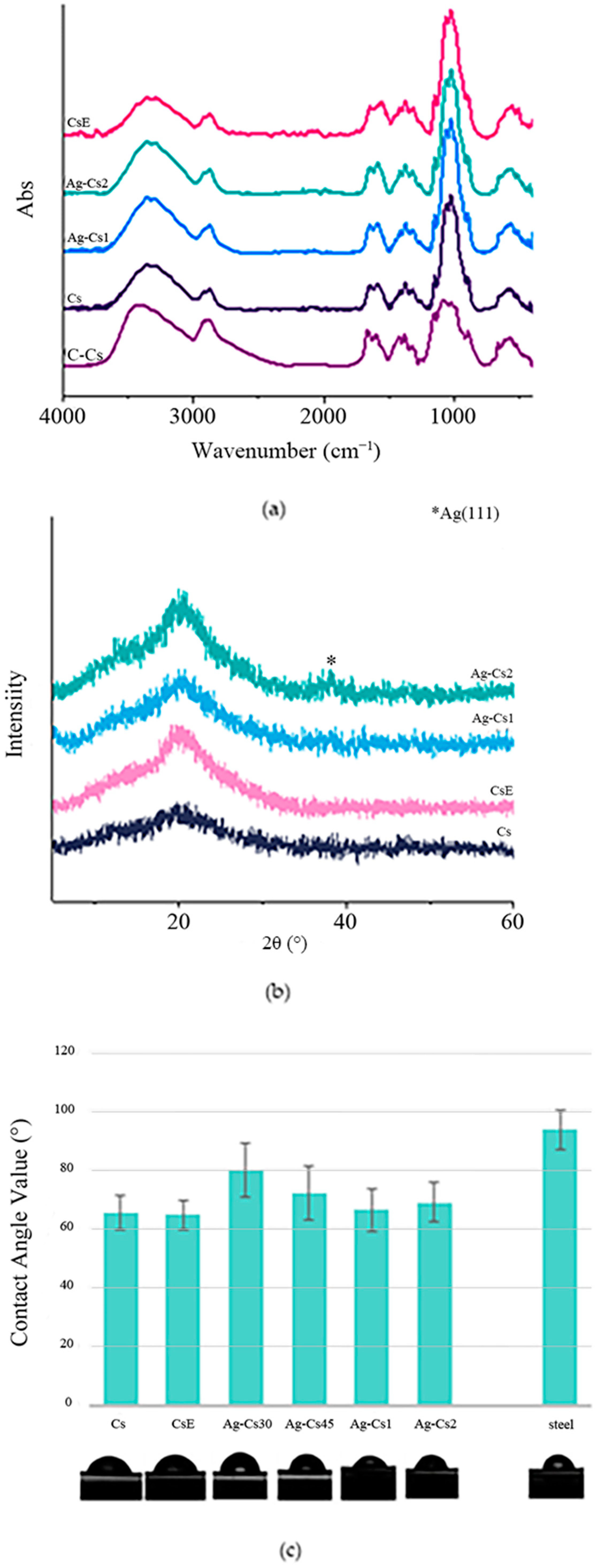 Coatings 14 00925 g003