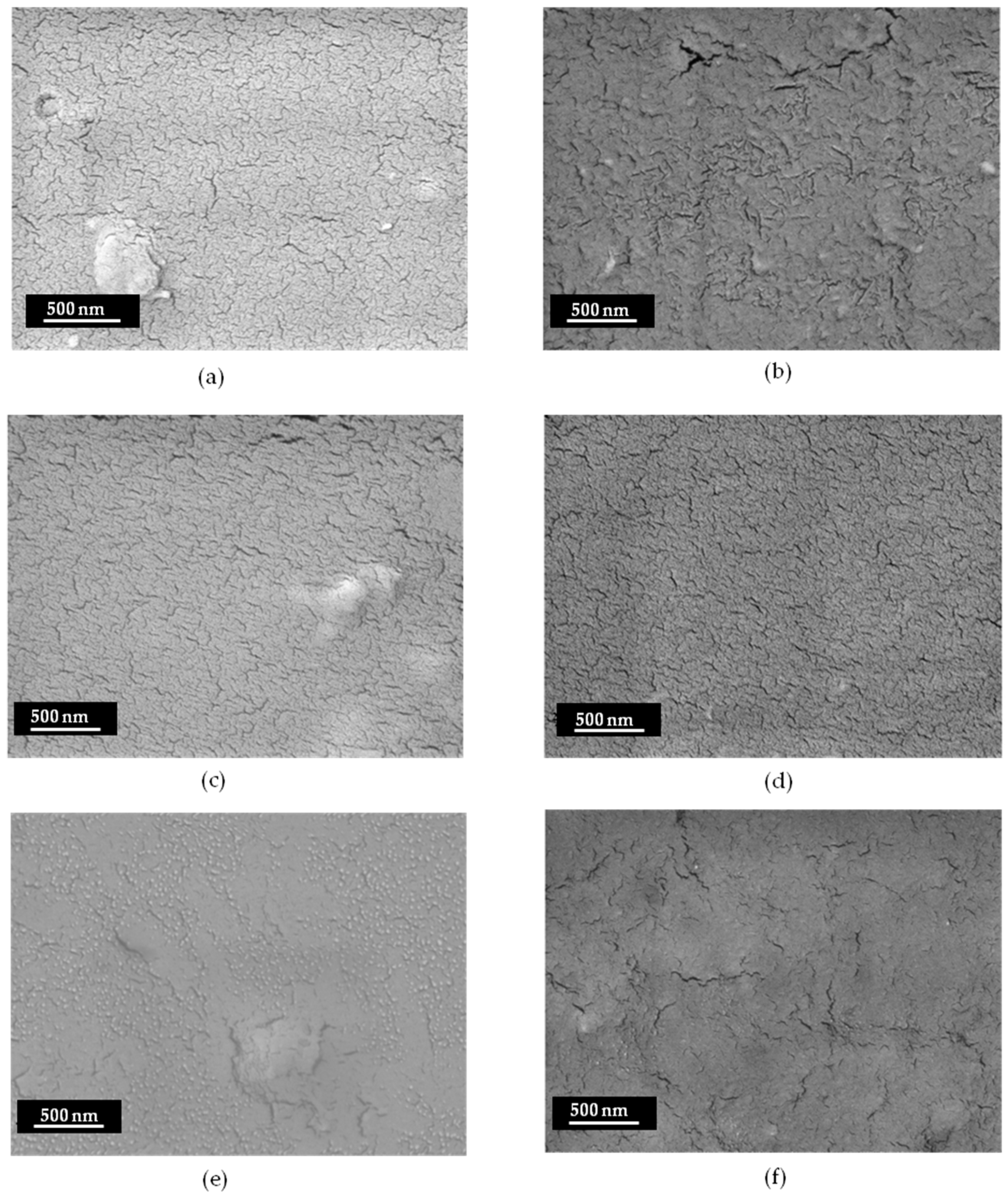 Coatings 14 00925 g004