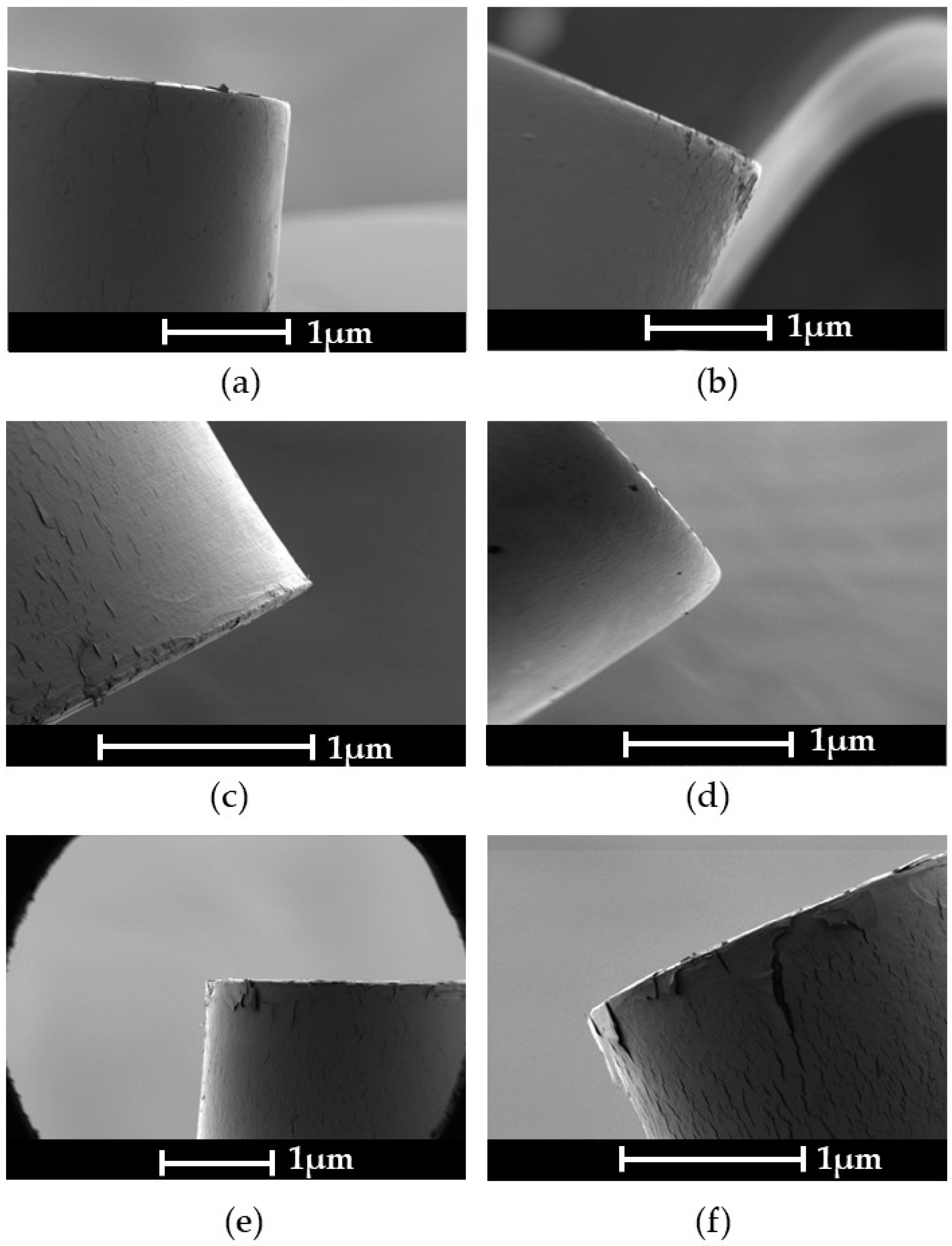 Coatings 14 00925 g005