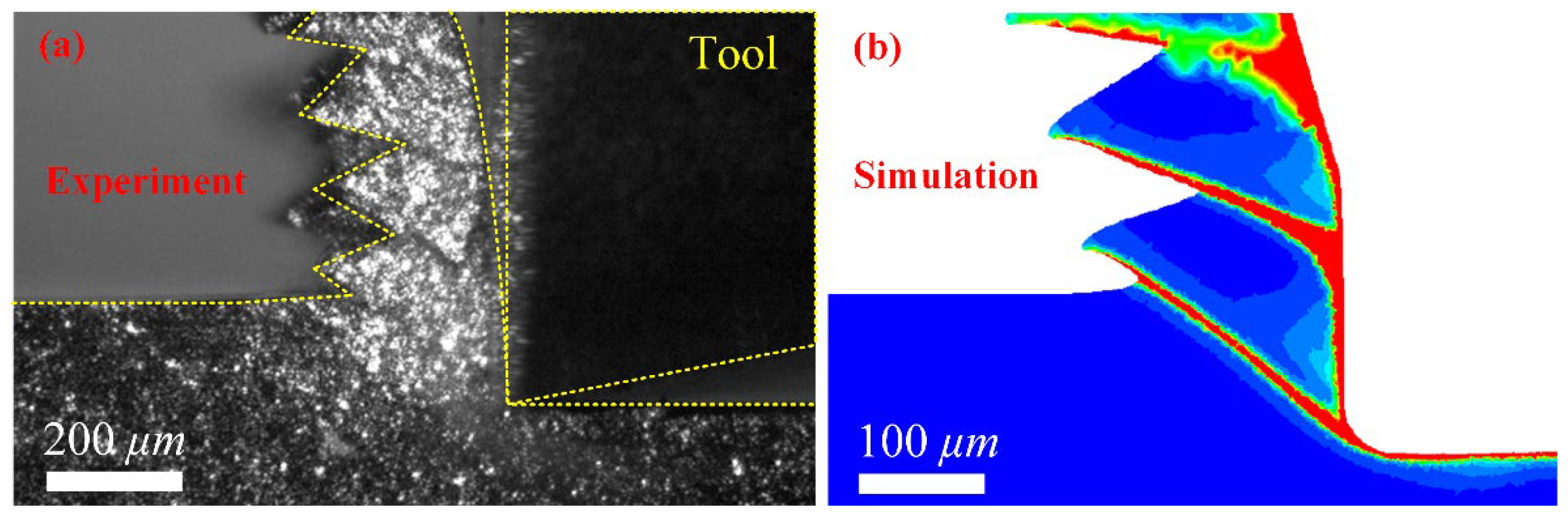 Coatings 14 00933 g006