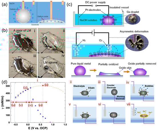Coatings 14 00935 g004