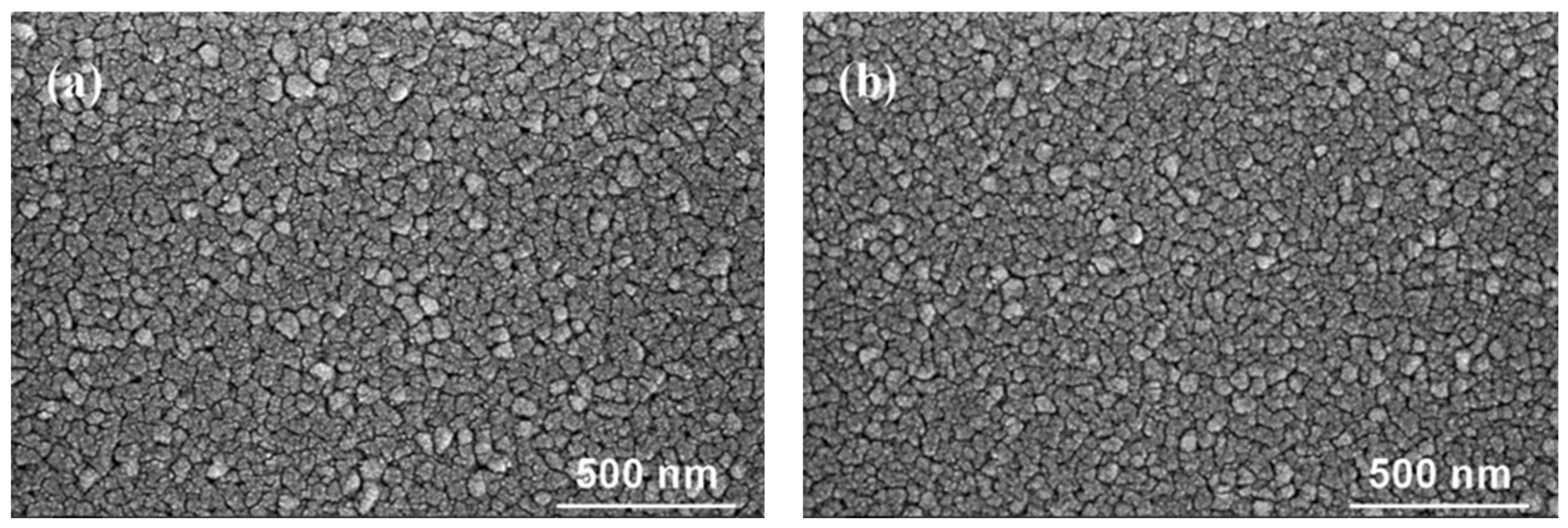 Coatings 14 00940 g002