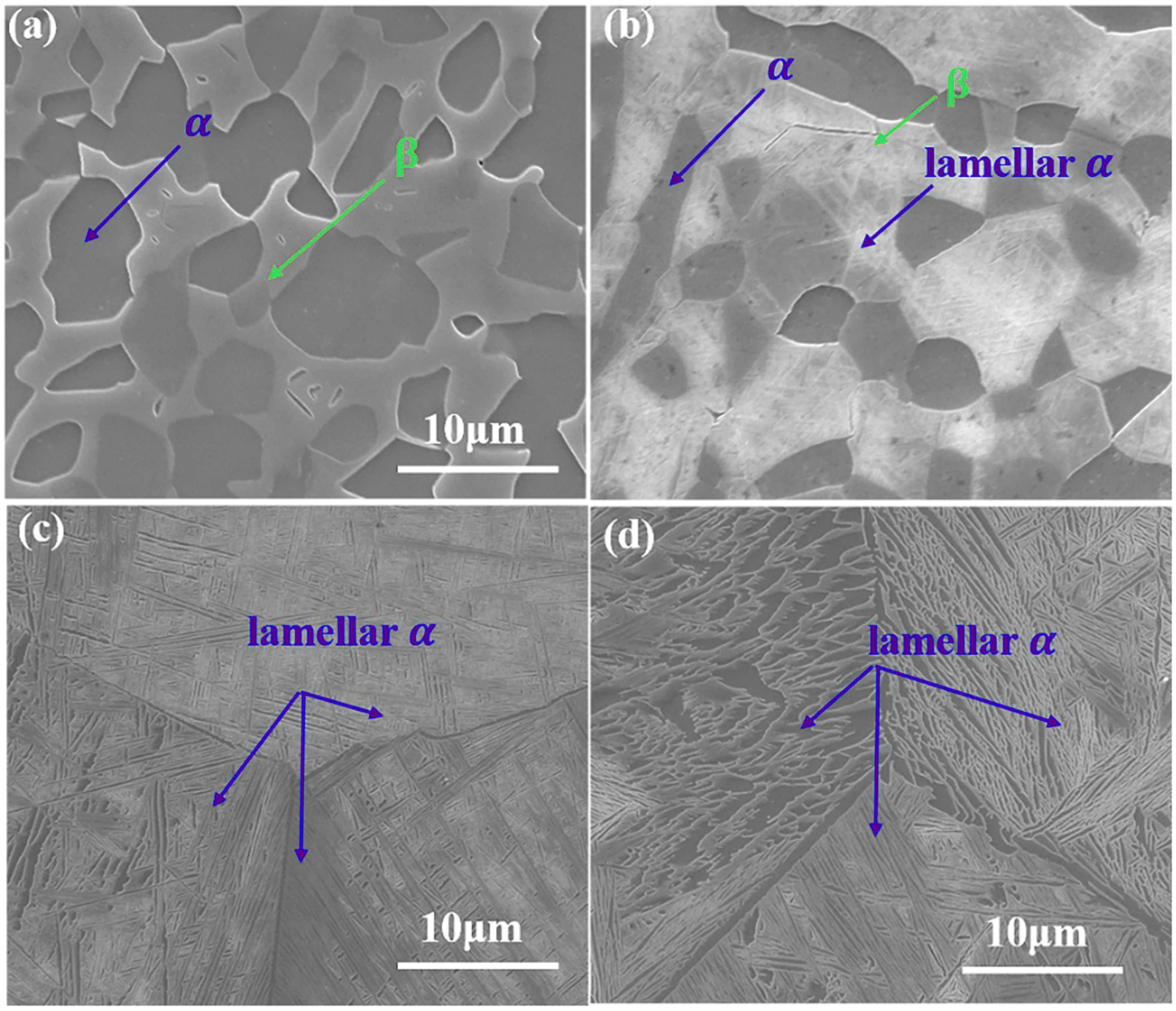 Coatings 14 00941 g004